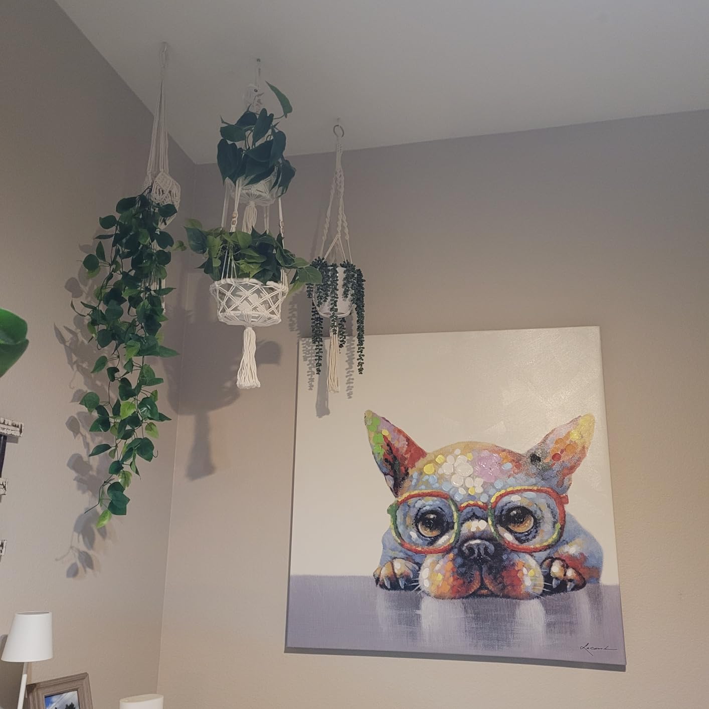 Nook Theory 4-Pack Macrame Plant Hangers with 8 Hooks - Hanging Planters for Indoor Plants, Boho Macrame Hangers Indoor Outdoor, Decorative Plant Hanger Indoor (Cream) customer photo 1