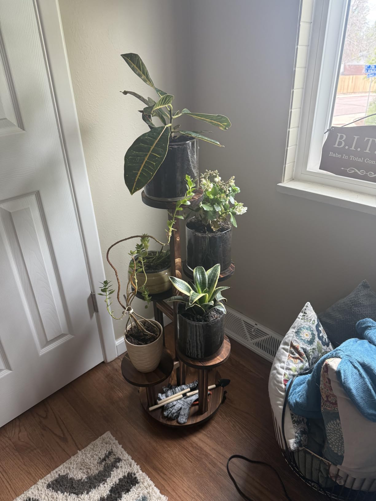 GEEBOBO 5 Tiered Tall Plant Stand for Indoor, Wood Plant Shelf Corner Display Rack, Multi-tier Planter Pot Holder Flower Stand for Living Room Balcony Garden Patio (Brown) customer photo 1