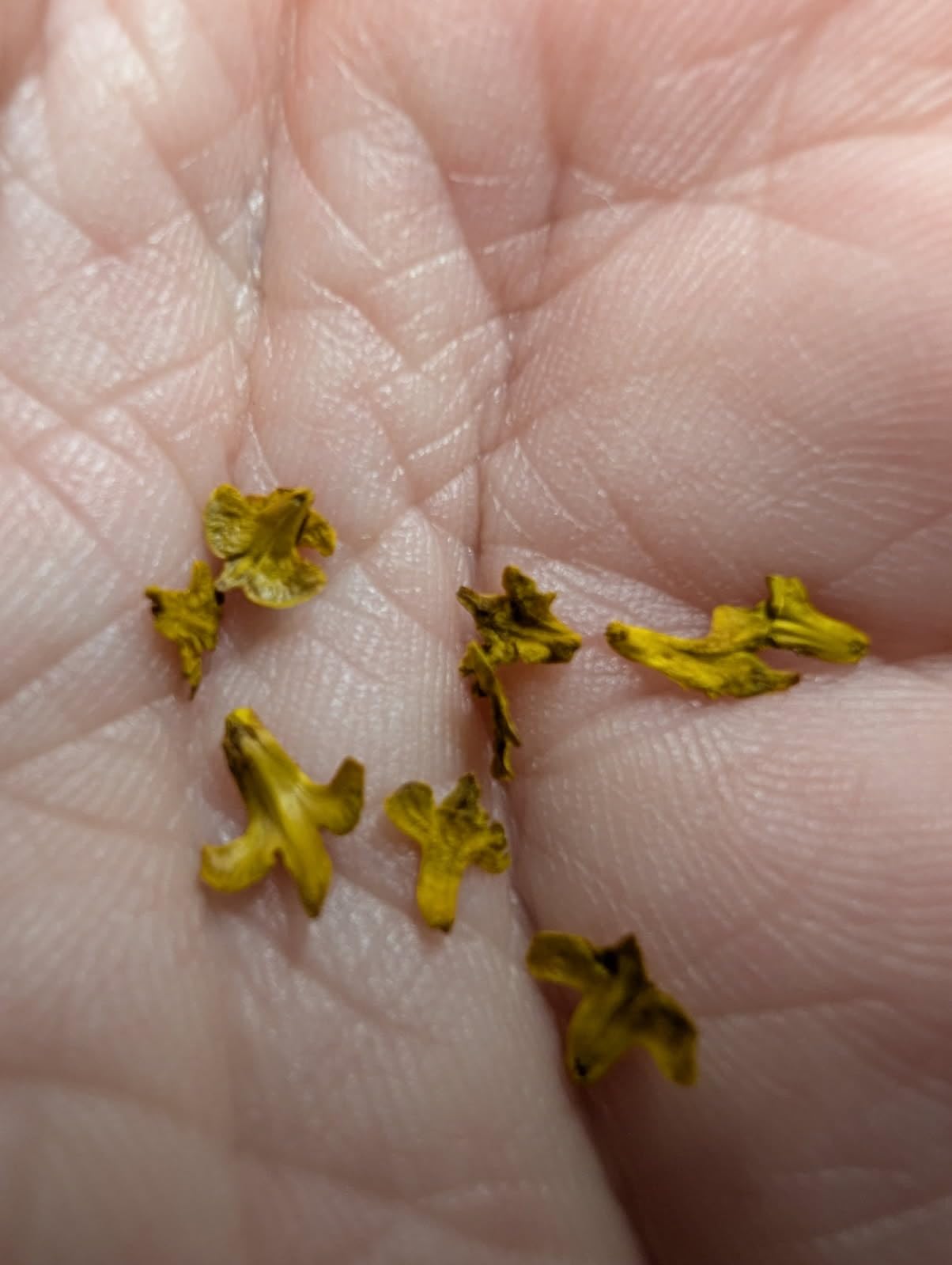 Warmtree Realistic Miniature Leaves Simulation Leaves Diorama Scenery | DIY Village Accessories Mini Model Railway Fairy Garden Architecture Landscape Layout (Pack of 4) customer photo 1