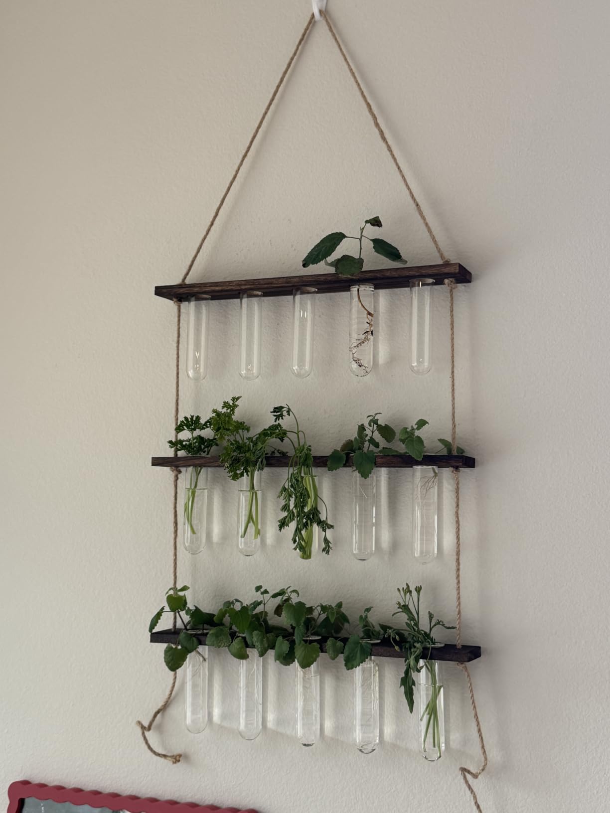 XXXFLOWER Wall Hanging Propagation Station with Wooden Stand 5 Glass Test Tubes 3 Tiered Planters Wall Terrarium for Home Office Plant Hanger Flower Vases Wall Decor Hydroponic Cuttings customer photo 1