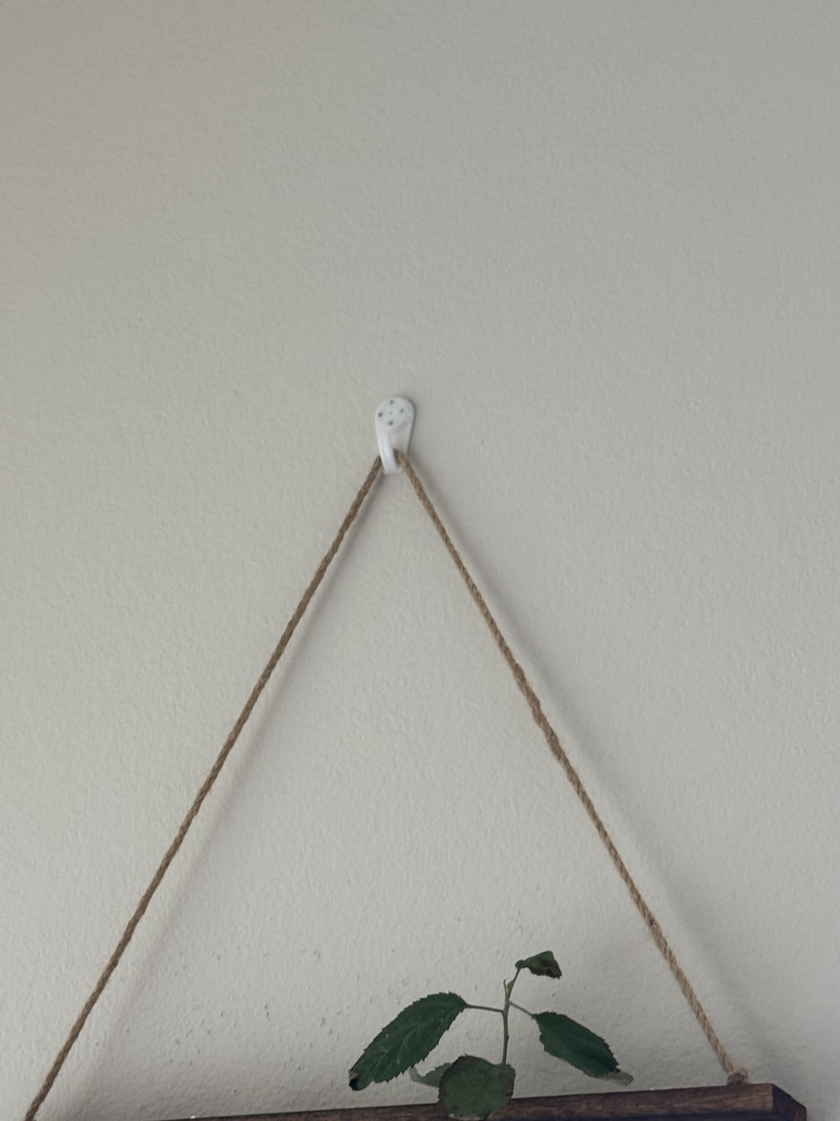 XXXFLOWER Wall Hanging Propagation Station with Wooden Stand 5 Glass Test Tubes 3 Tiered Planters Wall Terrarium for Home Office Plant Hanger Flower Vases Wall Decor Hydroponic Cuttings customer photo 2
