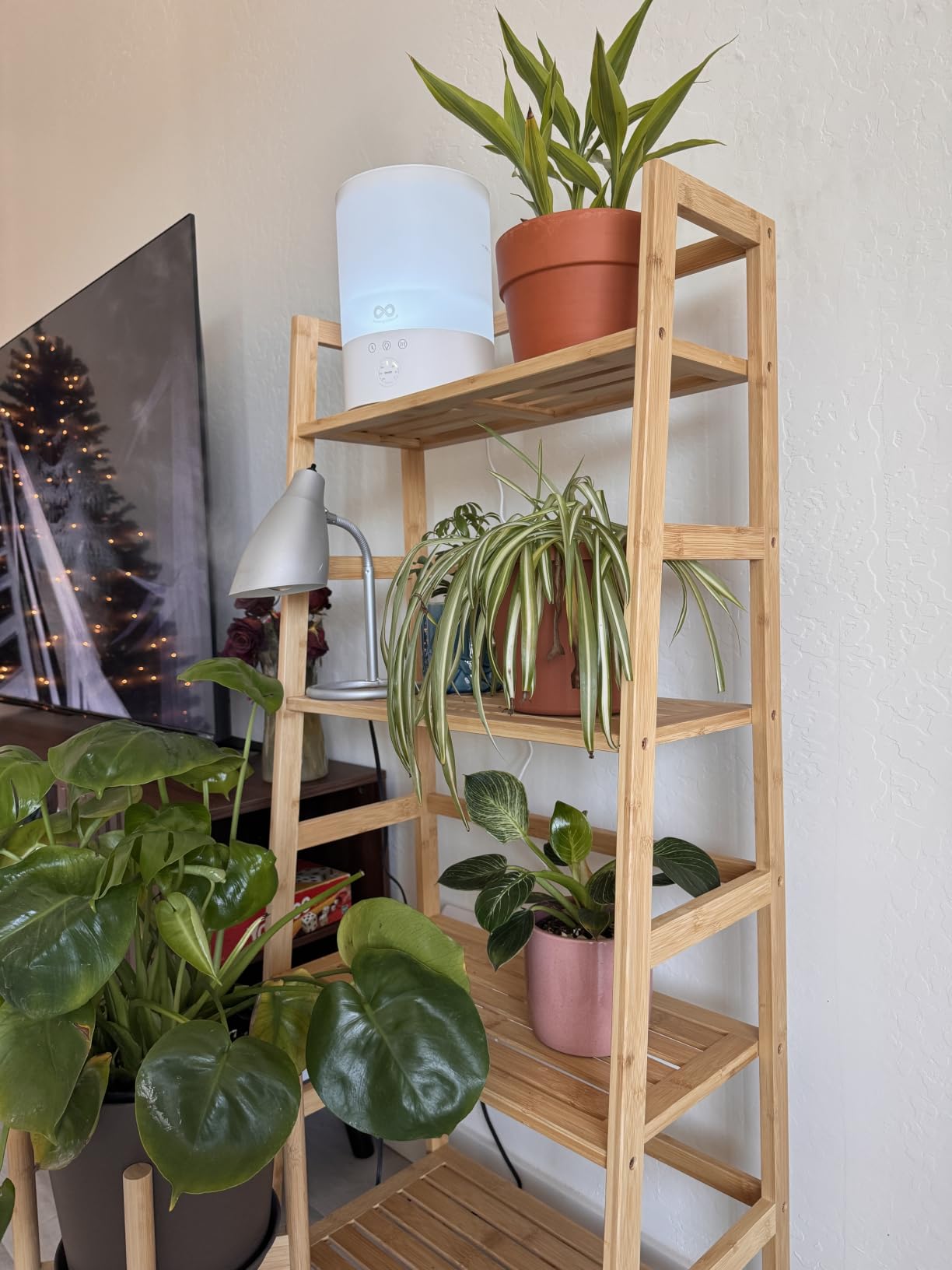 Homykic Ladder Shelf, 4-Tier Bamboo Ladder Bookshelf, 49.2