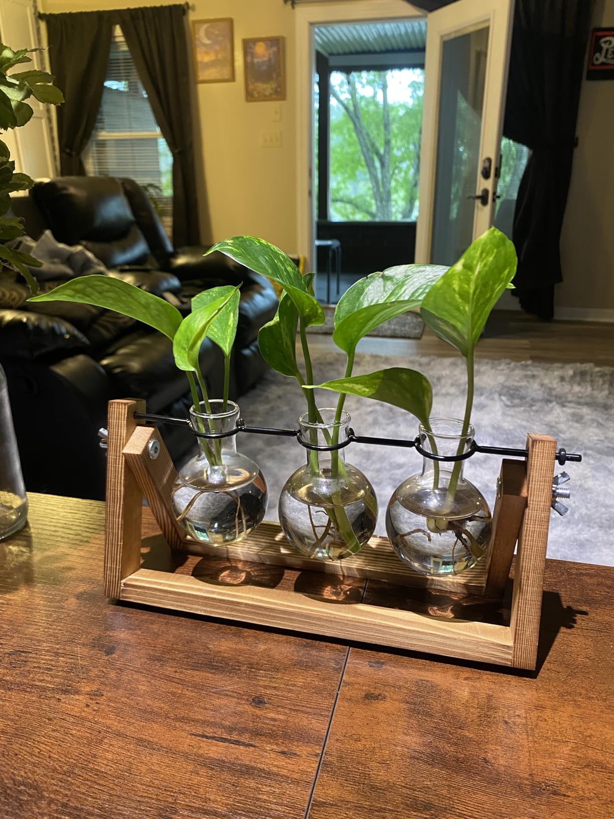 Renmxj Plant Propagation Stations with Wooden Stand & 5 Glass Bulb Vases | Plant Terrarium for Indoor Plants, Home Office Desk Decor, Gardening Gifts for Women Mom, Birthday Gifts for Plants Lovers customer photo 1