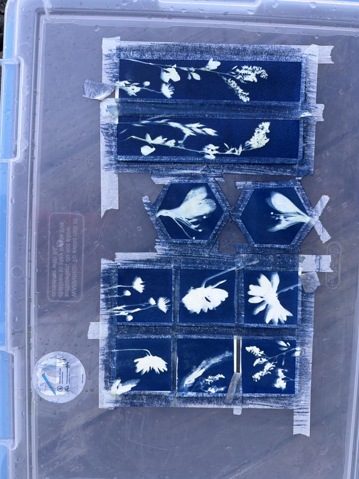 Cyanotype Kit - Two-Part Sensitizer Set (4 oz/120 ml Each Bottle) with 28 Sheets A5 Color Paper, Acrylic Plate, Dropper & Tools - Blue Printing Art Kit with Instructions customer photo 1