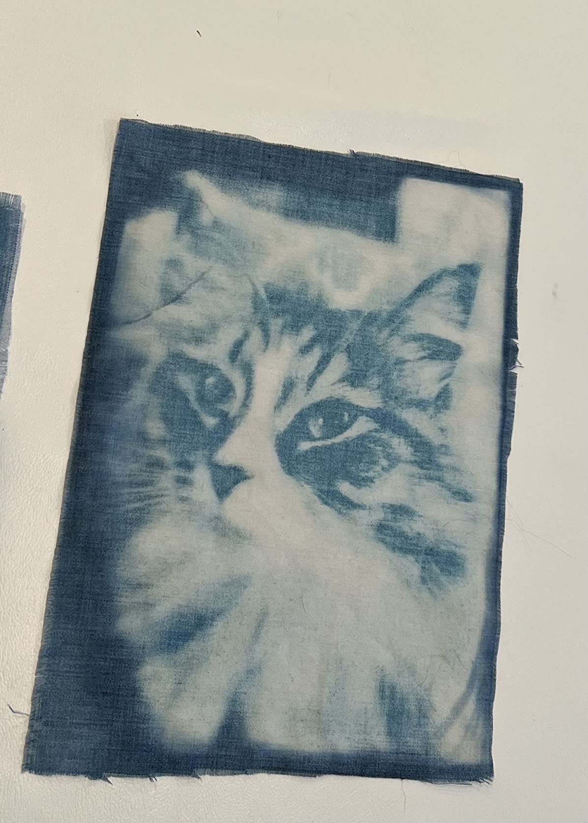 Cyanotype Kit - Two-Part Sensitizer Set (4 oz/120 ml Each Bottle) with 28 Sheets A5 Color Paper, Acrylic Plate, Dropper & Tools - Blue Printing Art Kit with Instructions customer photo 2