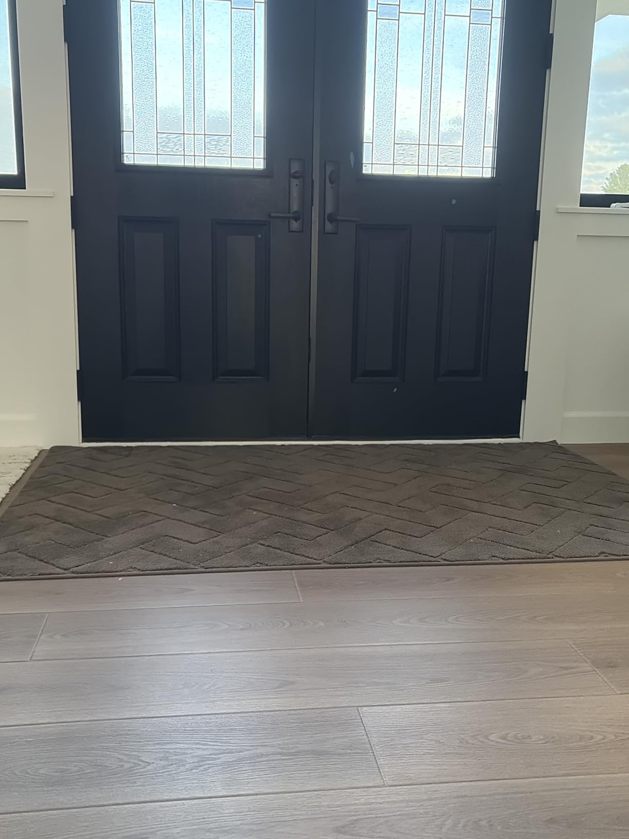 PURRUGS Dirt Trapping Door Mat 32