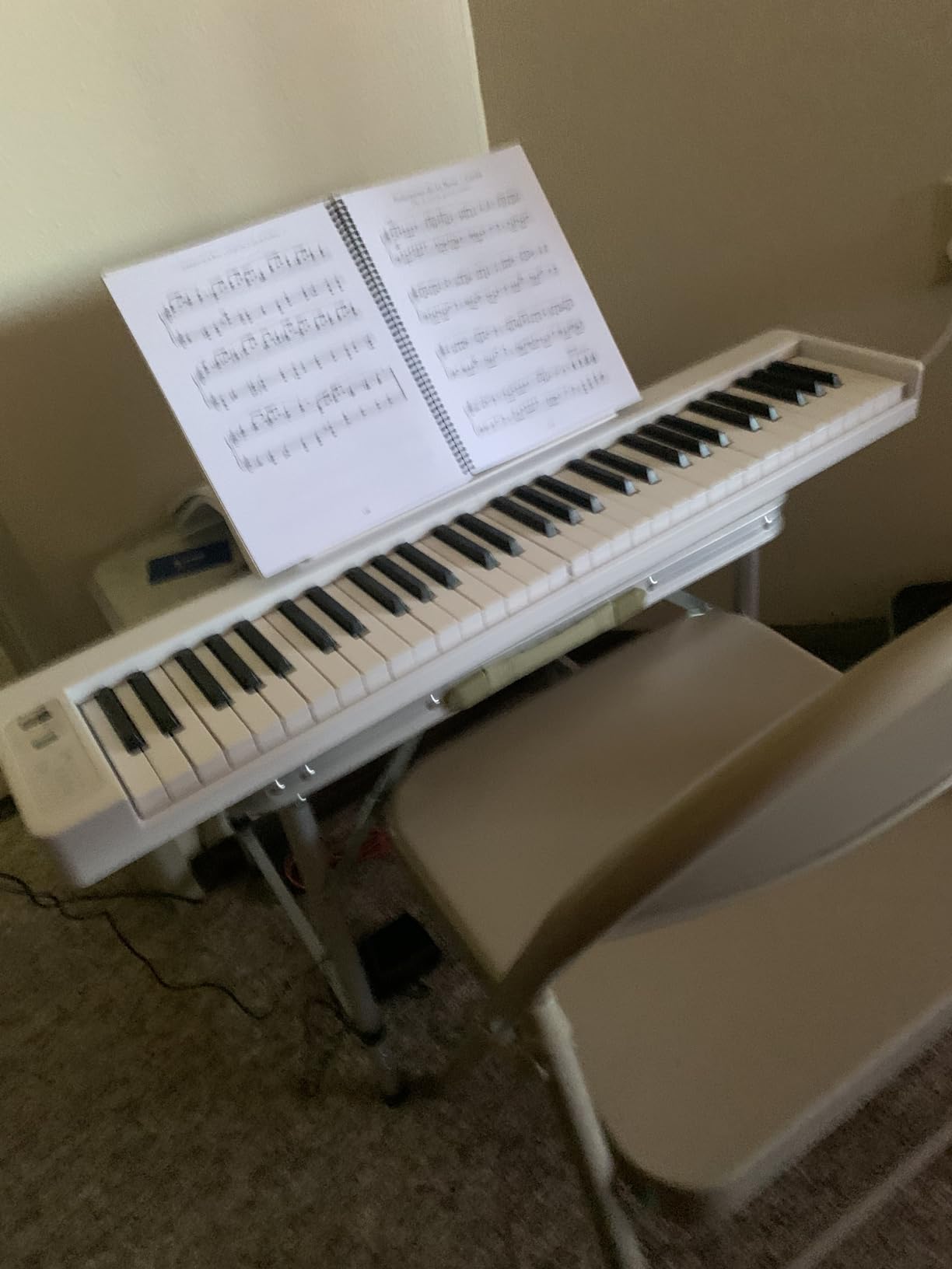 Donner 61-Key Folding Bluetooth Keyboard Piano for Beginners, Portable Piano Keyboard with Music Rest, Bag, Pedal, and App - White customer photo 2