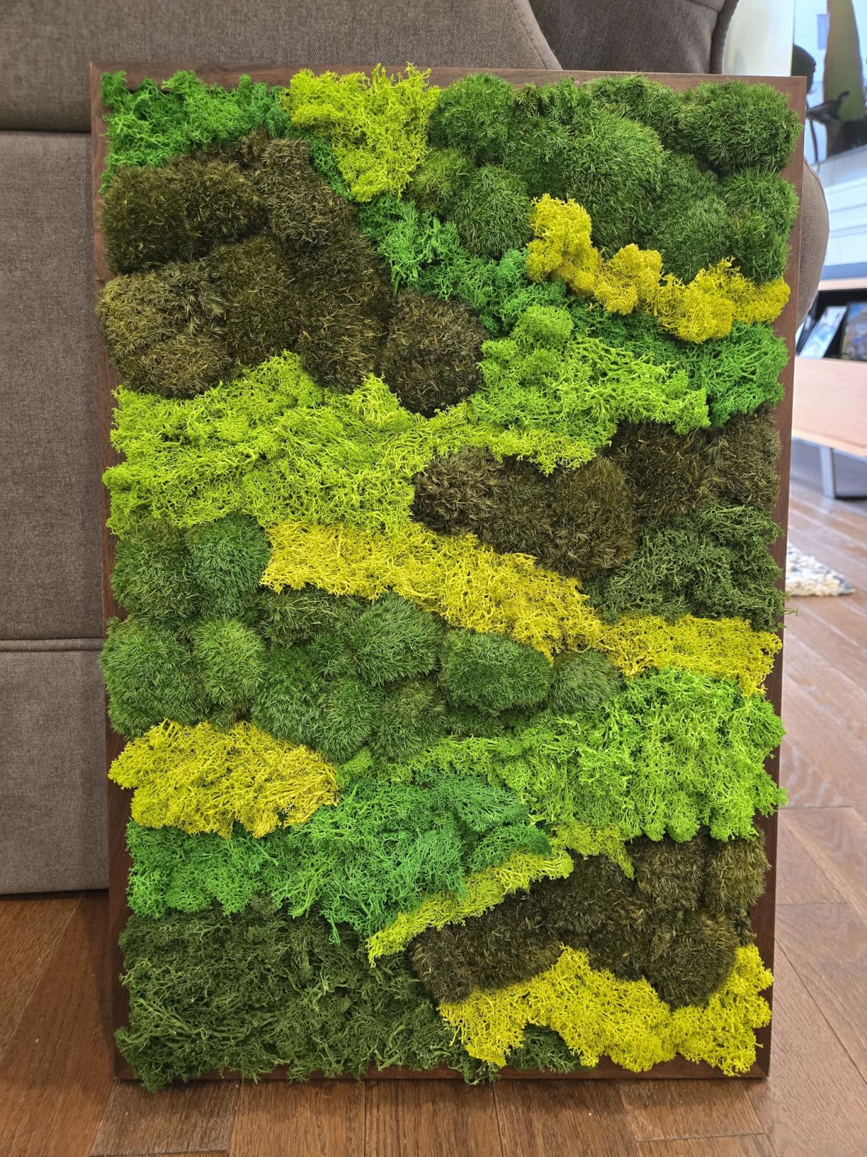 6 Colors Preserved Moss-16.9 OZ Natural Reindeer Moss-Moss for Crafts | Potted Plants Floral Arrangements Home Artistic Garden Decoration customer photo 1