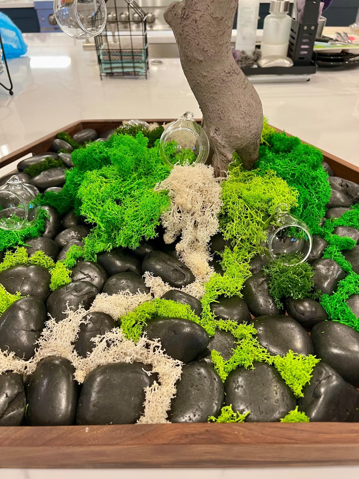 6 Colors Preserved Moss-16.9 OZ Natural Reindeer Moss-Moss for Crafts | Potted Plants Floral Arrangements Home Artistic Garden Decoration customer photo 2