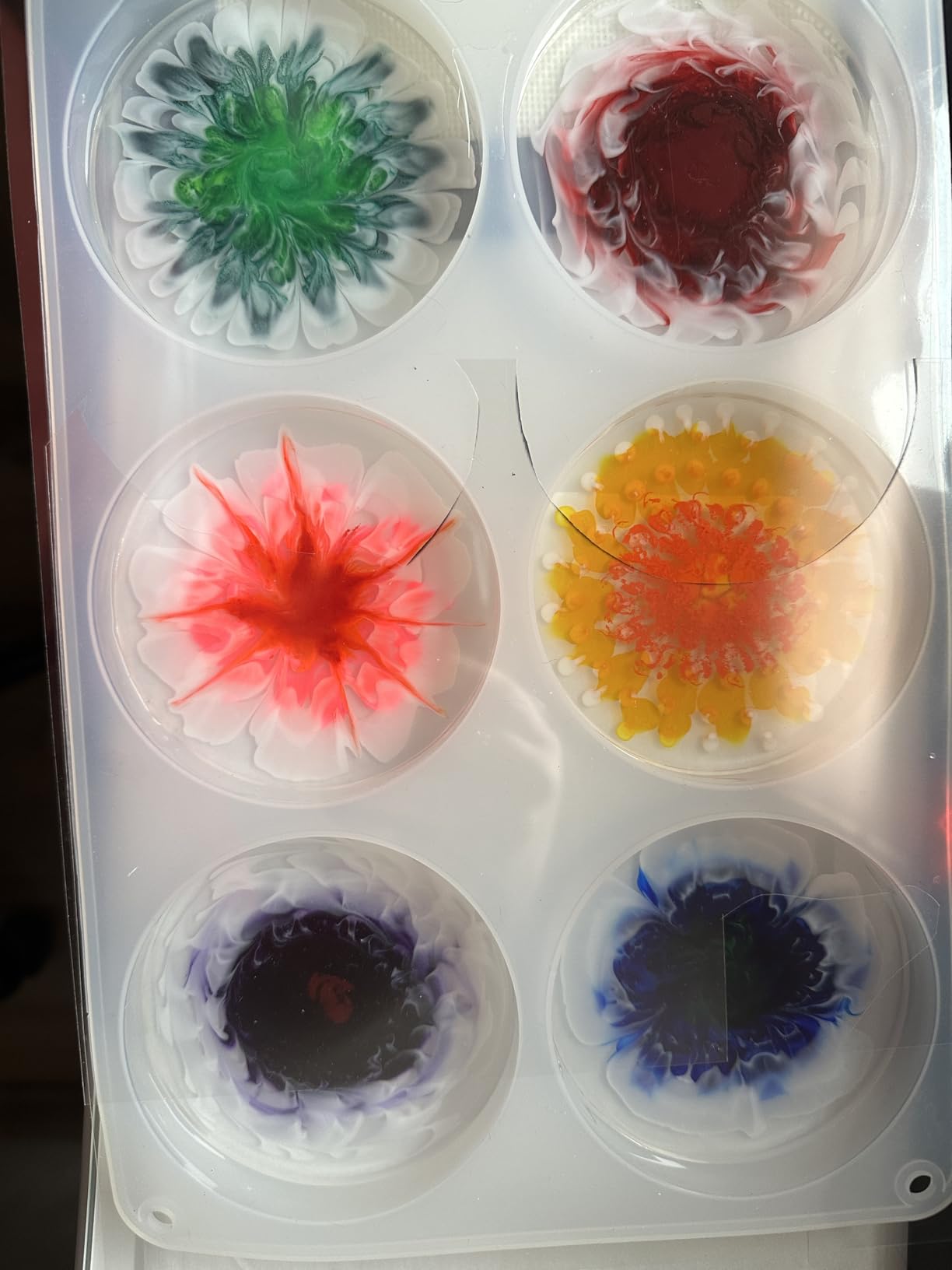 RESINWORLD 6-Cavity Deep Round Coaster Molds, 4 Inches Coaster Silicone Molds for Epoxy Resin, Coaster Resin Molds for Flower Bouquet Preservation customer photo 1