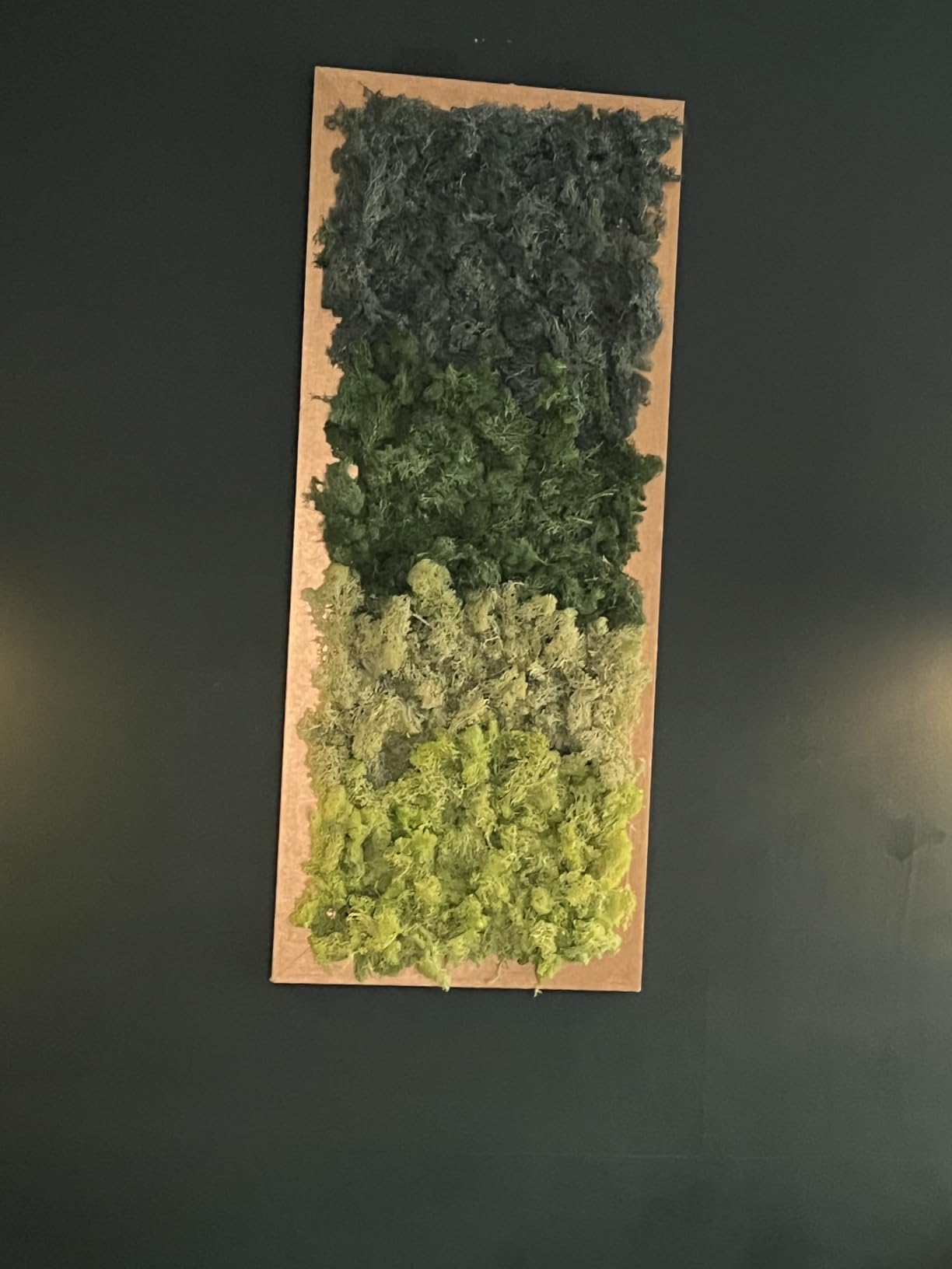 Preserved Moss 4 Color Reindeer Craft Moss, Total 14 OZ Each Color 3.5 OZ, Fake Moss Suitable for Flowerbeds, Crafts, Home Office Artistic Decoration (4 Colors) customer photo 2