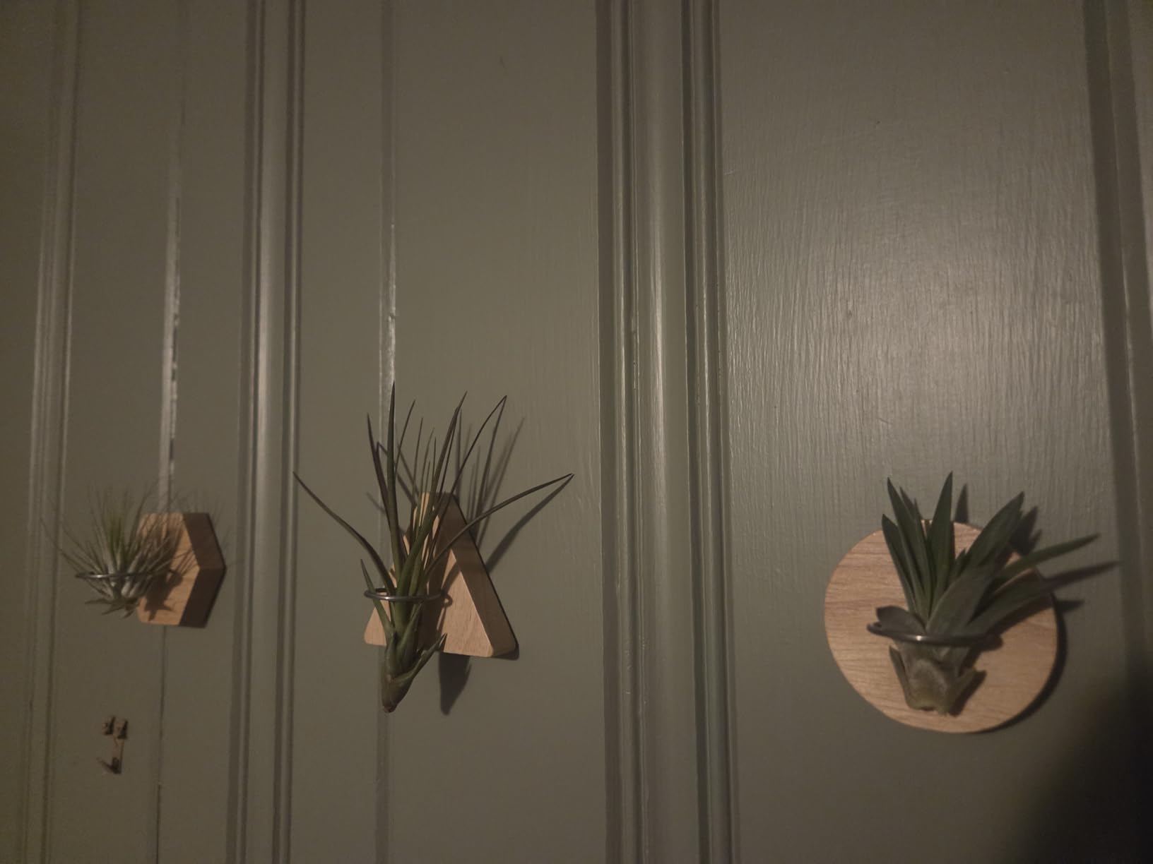 Natural Wood Air Plant Wall Holder, Tillandsia Wall Mount Planter, Indoor Wall Decorations, Indoor Boho Wall Decor for Home Office, Gift for Plant Lovers (Plants Not Included) customer photo 1