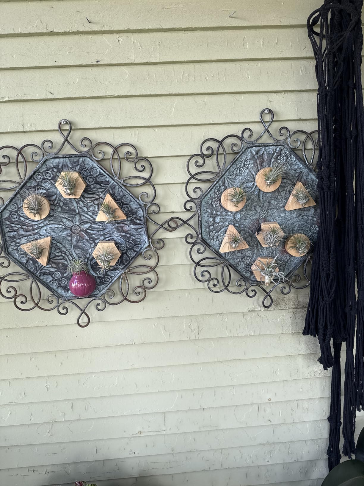 Natural Wood Air Plant Wall Holder, Tillandsia Wall Mount Planter, Indoor Wall Decorations, Indoor Boho Wall Decor for Home Office, Gift for Plant Lovers (Plants Not Included) customer photo 2
