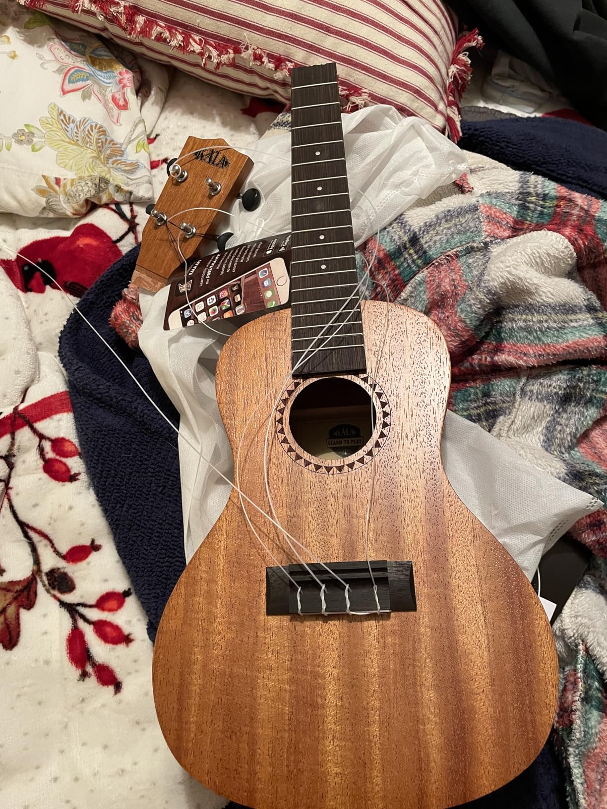 Official Kala Learn to Play Ukulele Baritone Starter Kit, Satin Mahogany - Includes online lessons, tuner app, and booklet (KALA-LTP-B) customer photo 1