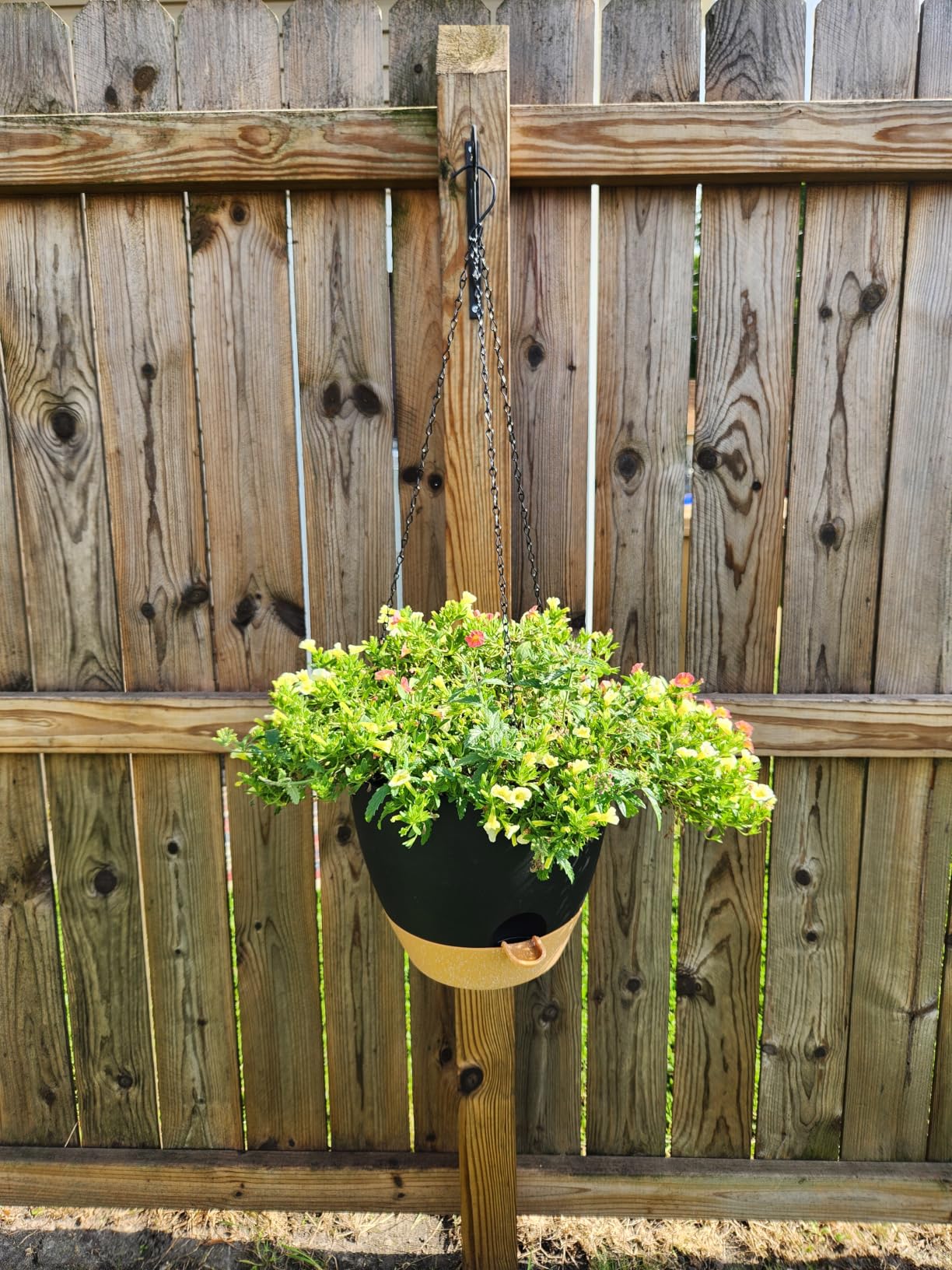 Vanslogreen Hanging Planters for Indoor Outdoor Plants, 2 Pack Self Watering Hanging Pot with Drainage Holes & Removable Tray (White, 8'') customer photo 1