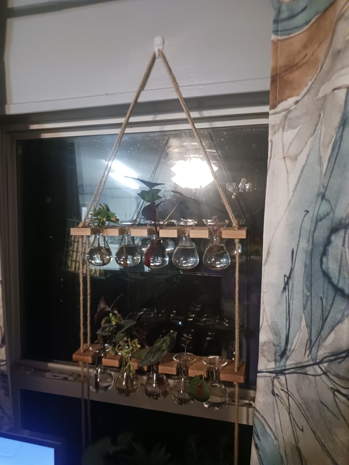XXXFLOWER Wall Hanging Propagation Station 5 Bulb Vase 3 Tiers | Hanging Plant Holder Wall Hanging Planters for Indoor Plants, Wall Decor for Living Room Office customer photo 1