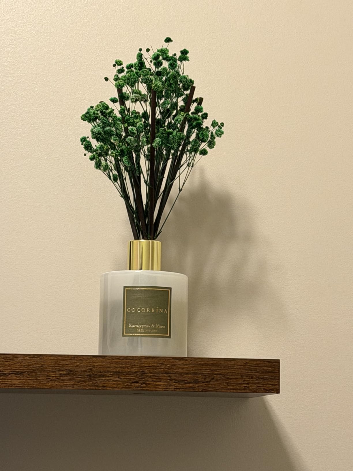 Reed Diffuser Sets- Eucalyptus & Moss Scented Diffuser with Sticks Home Fragrance Reed Diffuser for Bathroom Shelf Decor customer photo 2