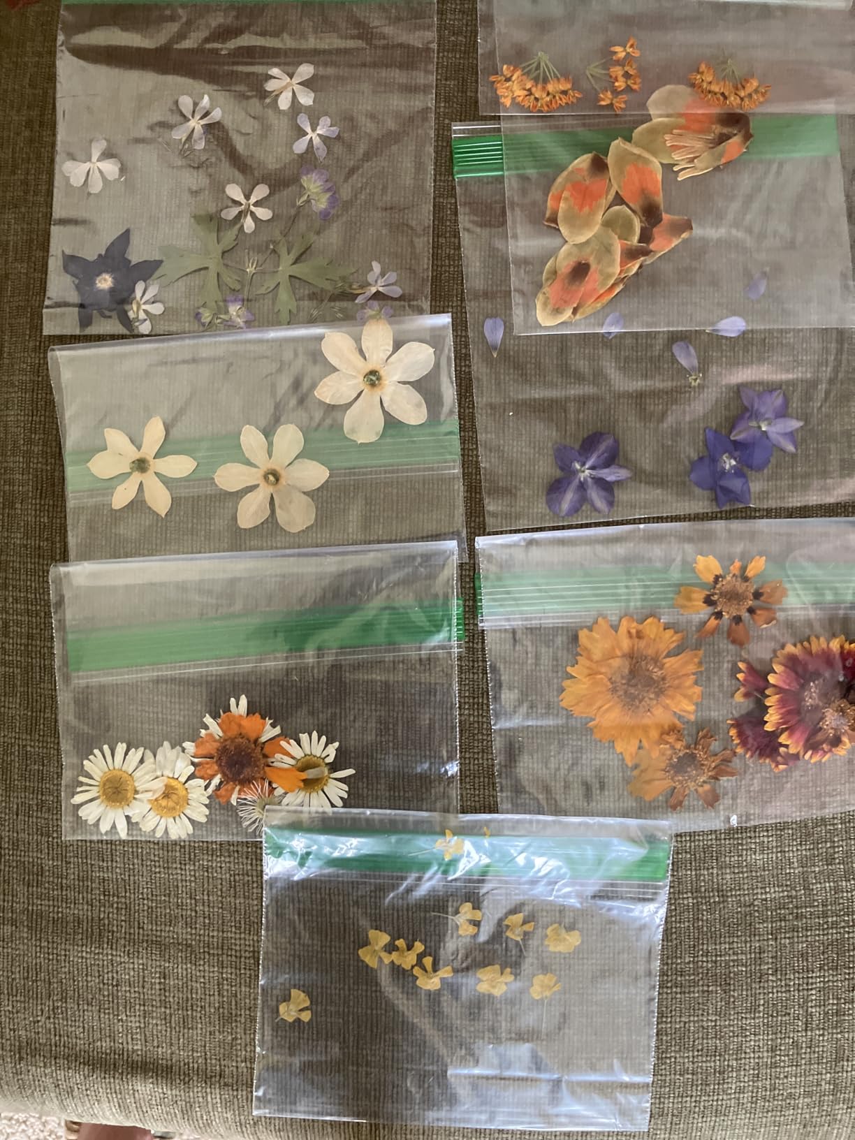 Rhykoka Large Flower Press Kit for Adults, 10 Layers 11.8 x 8.3 Inches DIY Wood Leaf Plant Press Kit customer photo 2