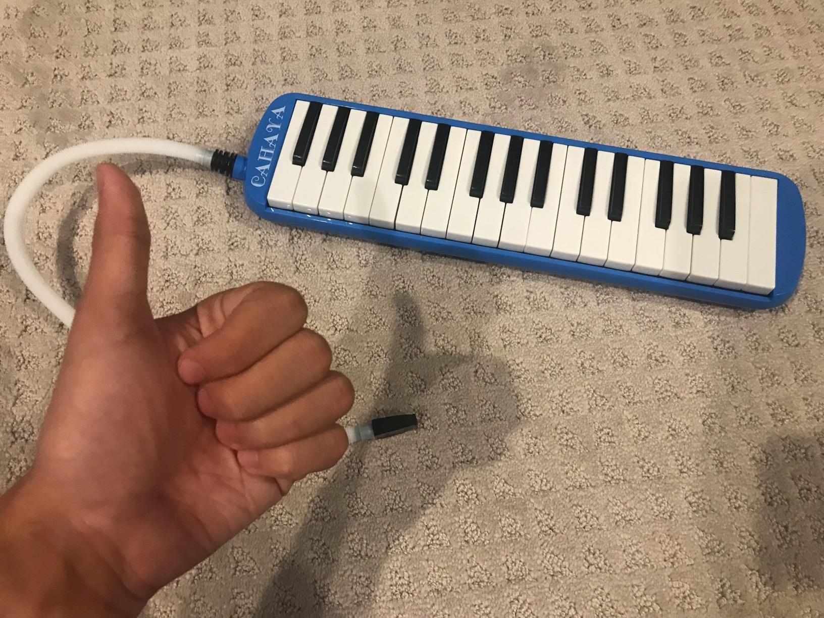 CAHAYA Melodica 32 Keys: Double Tubes Mouthpiece Air Piano Keyboard Musical Instrument Gift with Carrying Bag for Beginners, Professional Musicians customer photo 1