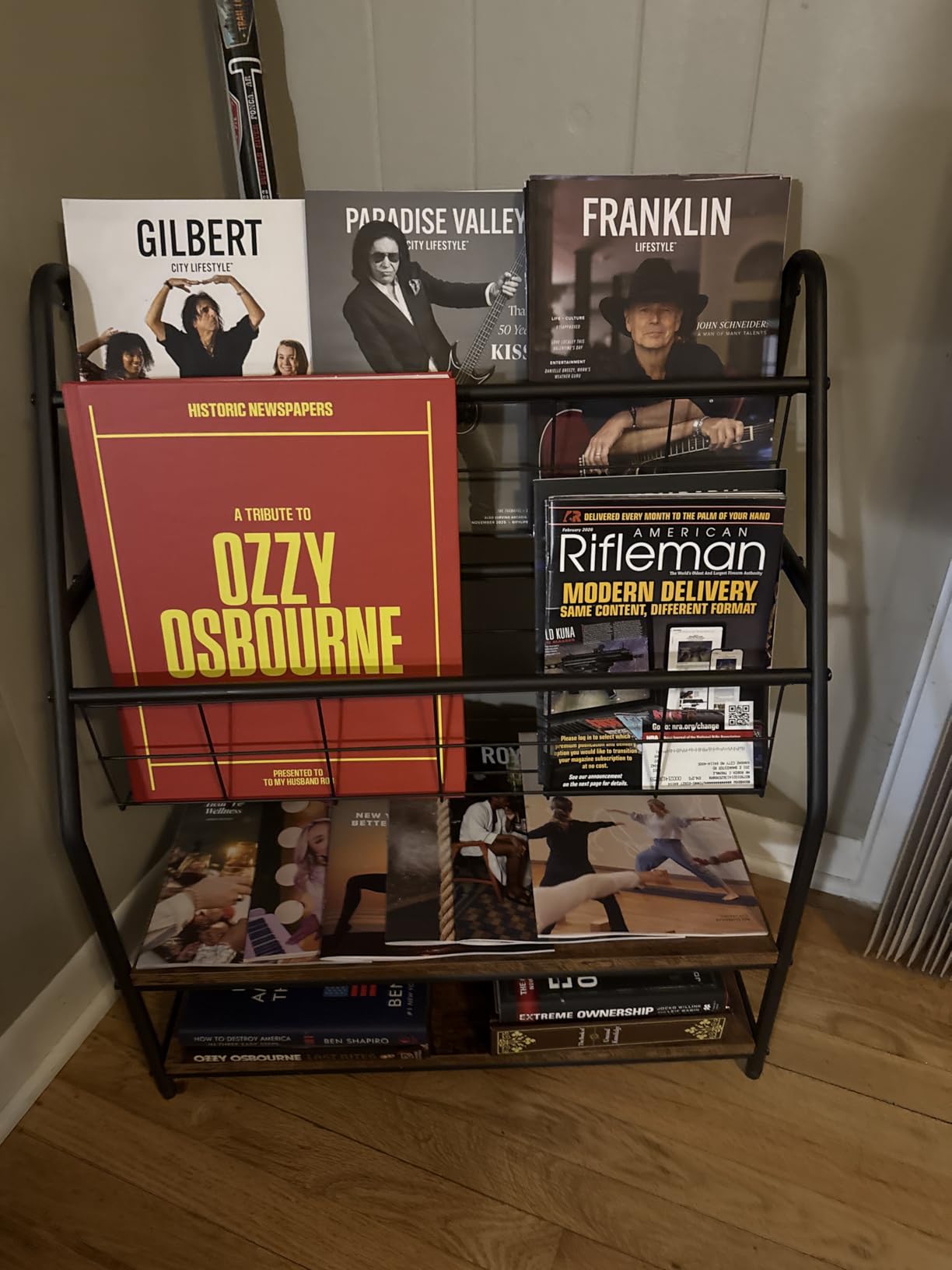 VECELO Magazine Rack FloorStanding, Magazine Display Stand Brochures Newspaper Holders, with 2 Shelves Board for Office, Library, Exhibition Hall, Hospital Indoor&Outdoor, Grey customer photo 1