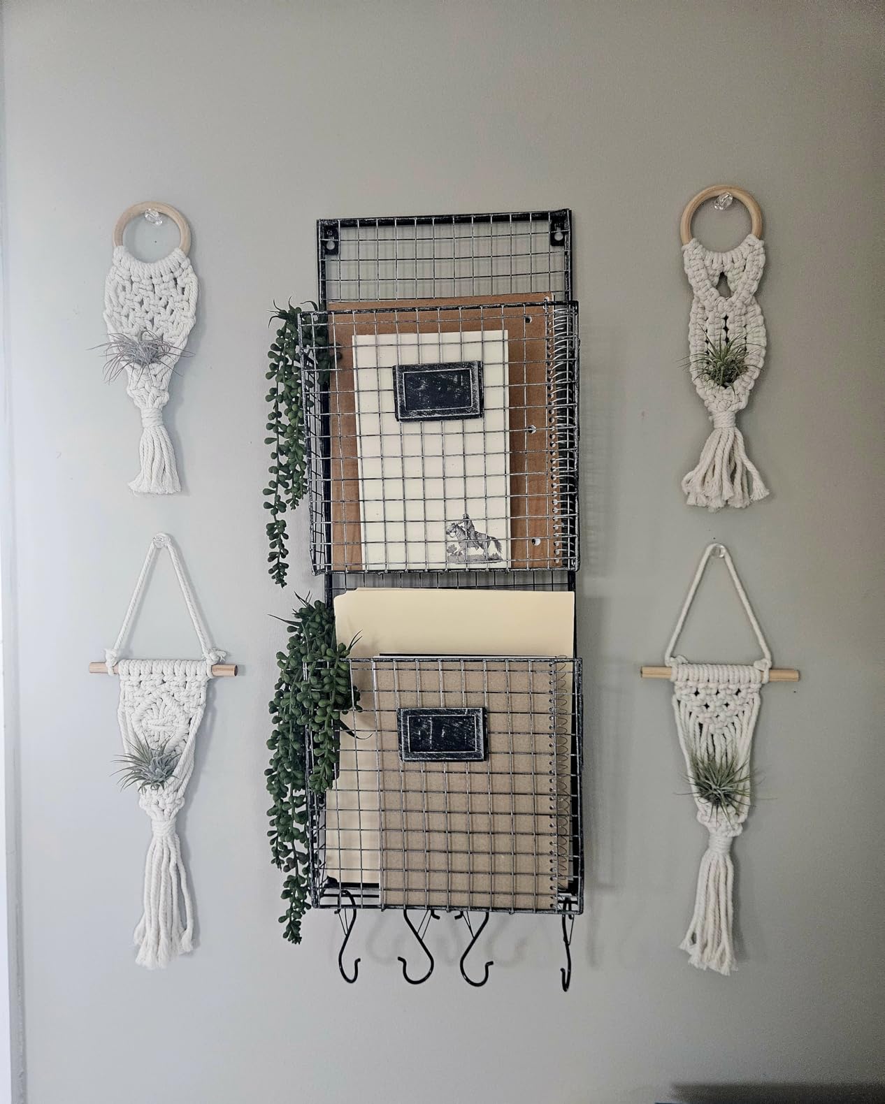 Melphoe 4 Pack Air Plants Holders Stand Air Fern Macrame Plant Hanger Indoor Hanging Planter Basket for Tillandsias Display, Boho Home Decoration Gift Idea customer photo 1