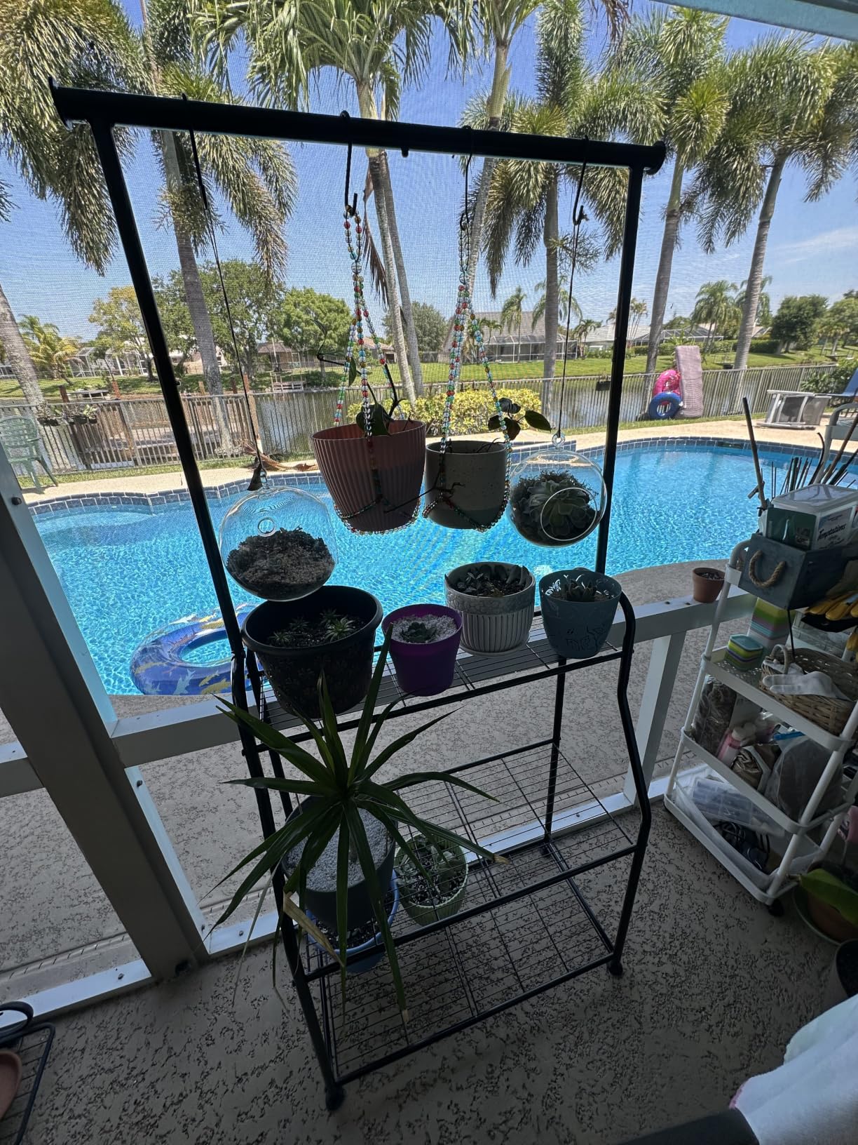 Simple Trending Plant Stand Indoor Outdoor, Heavy Duty Metal 3 Tiered Hanging Plant Shelf for Multiple Flower Planter Holder Tall Large Rack for Living Room Garden Balcony, Black customer photo 2