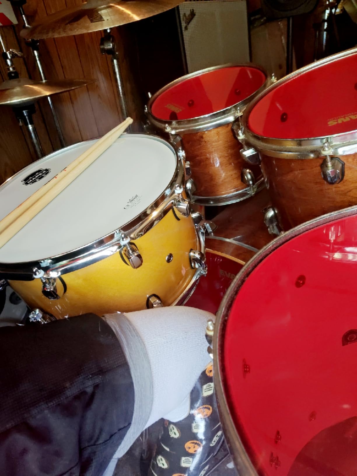 Mapex MPX Maple/Poplar Hybrid Shell Snare Drum, 14 in. X 8 in., Transparent Natural | 14 X 8 in Maple and Poplar Hybrid Shell, Gloss Natural Finish, Chrome Hardware, Armory Throw-Off, Remo Ux Heads customer photo 1
