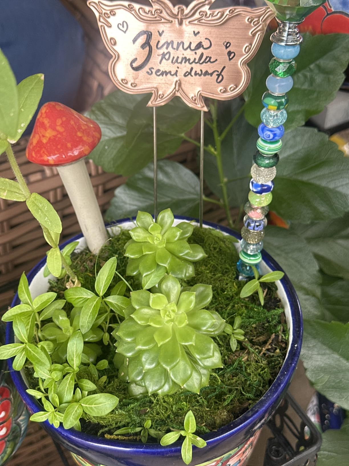 SuperMoss Forest Moss Preserved Lasting Decorative Long Fibers for Potted Plants and Crafts, Fresh Green customer photo 1