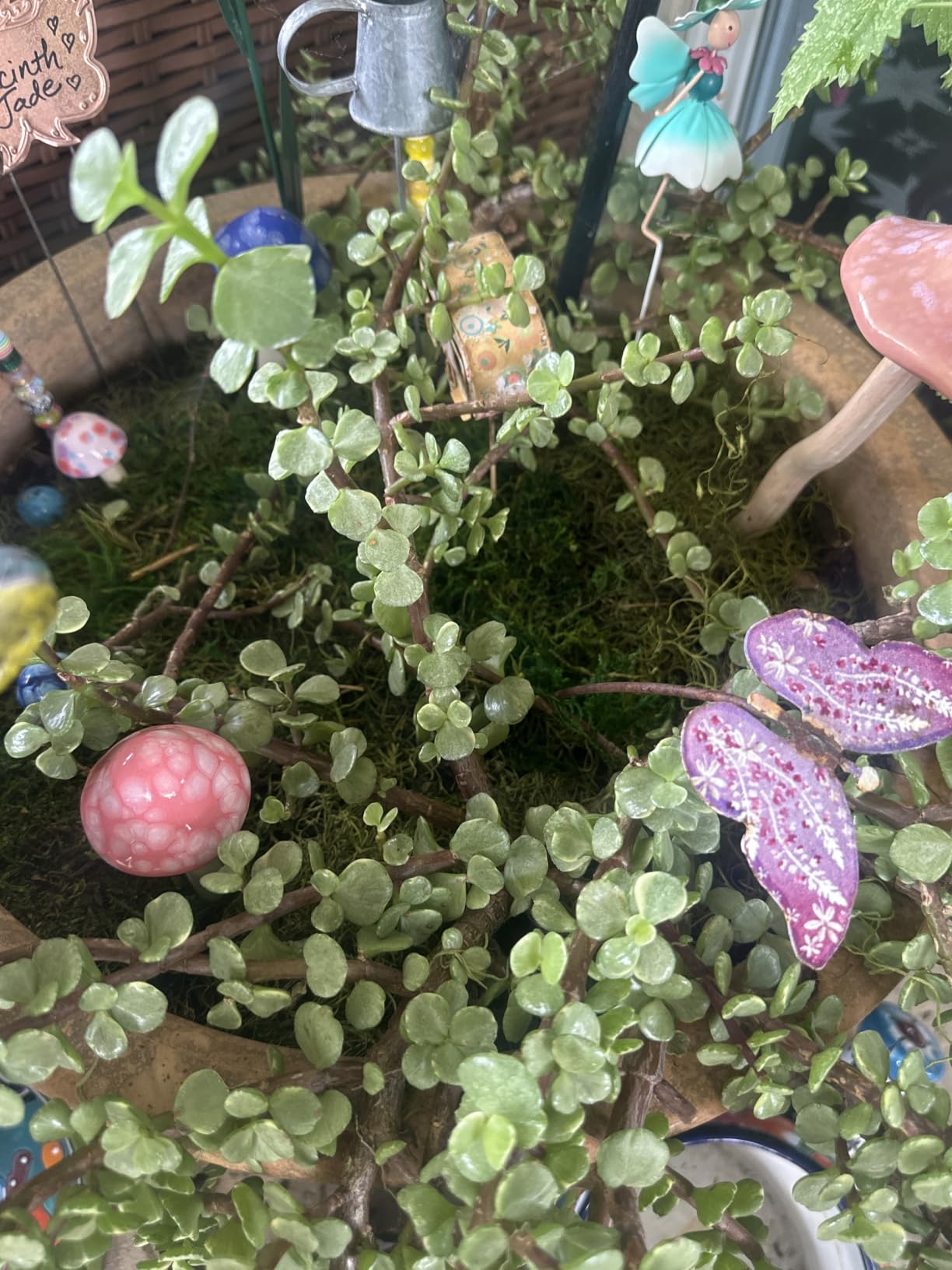SuperMoss Forest Moss Preserved Lasting Decorative Long Fibers for Potted Plants and Crafts, Fresh Green customer photo 2