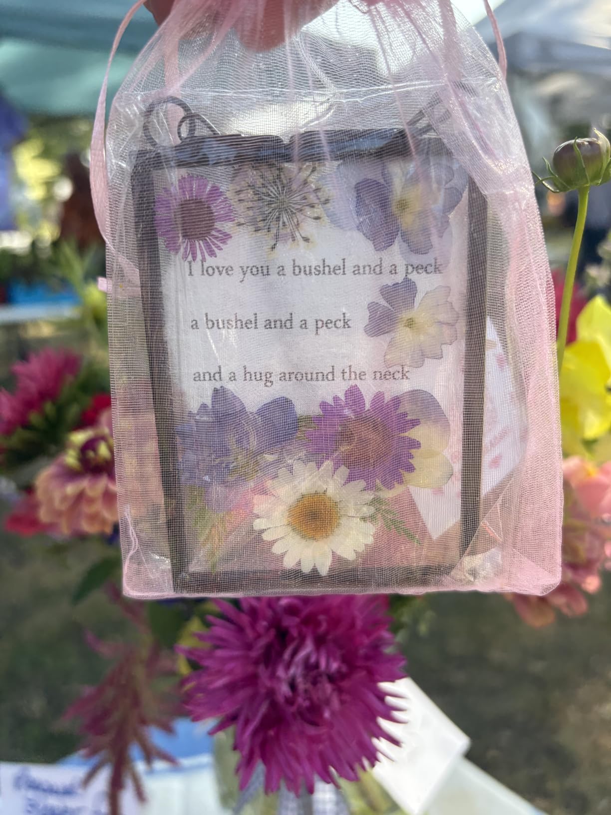 12 Pcs Double Glass Pressed Flower Frame with Chain Bulk Vintage Floating Hanging Glass Flower Photo Frame Craft 2.4