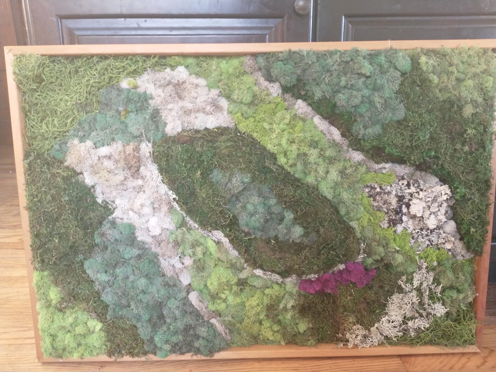 SuperMoss (23309) Moss Mix - Premium Decorative Moss for Crafts, Terrariums, Wedding & Table Decor, 80.75 Cubic Inches customer photo 1