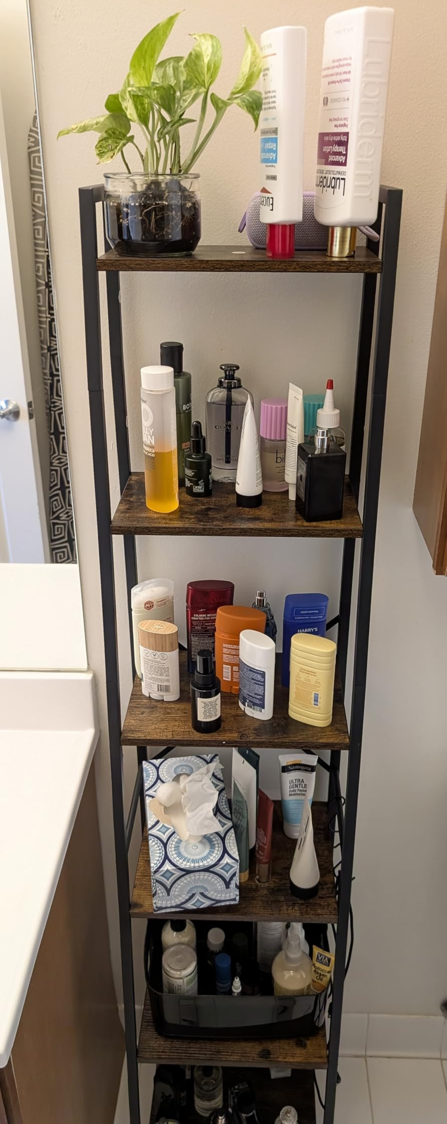 Furologee 5 Tier Ladder Shelf Bookcase, Tall Narrow Bookshelf with 2 Hooks, Rustic Brown Bathroom Corner Book Shelf, Metal Wood Book Case Standing Unit, Display Shelf for Living Room Office Kitchen customer photo 2
