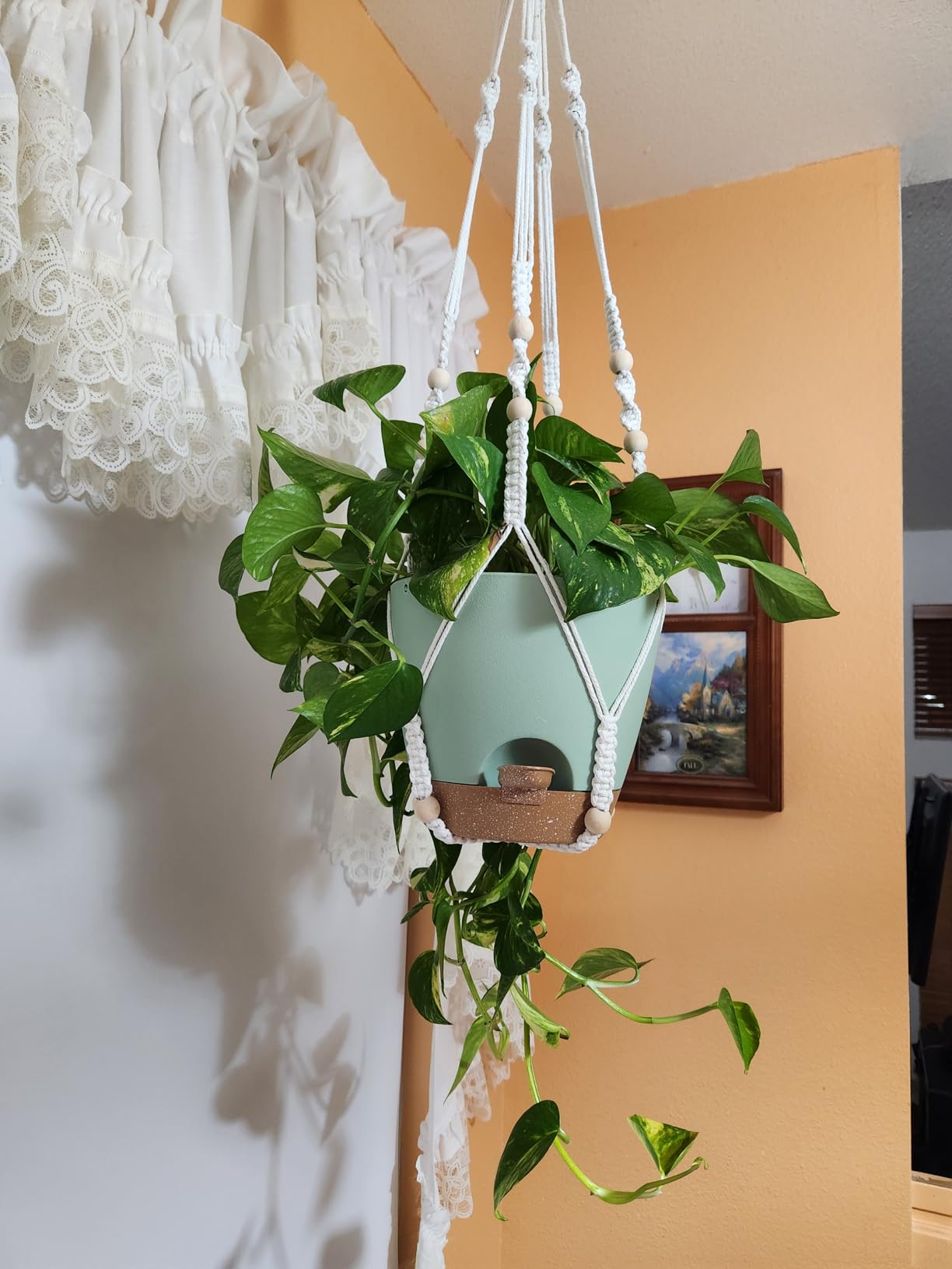 10 Inch Self Watering Hanging Planters, 2 Pack, Visible Water Window | Drainage Holes, Cotton-wick Reservoir, Metal Chain & Macrame Plant Hangers for Indoor & Outdoor Plants customer photo 1