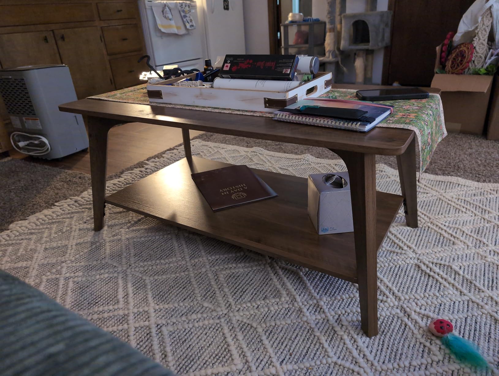 VASAGLE MAEZO Collection - Coffee Table, 2-Tier Center Table with Storage, Tapered Legs, Curved Transitions, 21.7 x 39.4 x 17.7 Inches, Easy to Assemble, for Living Room, Honey Brown ULCT249K01 customer photo 2