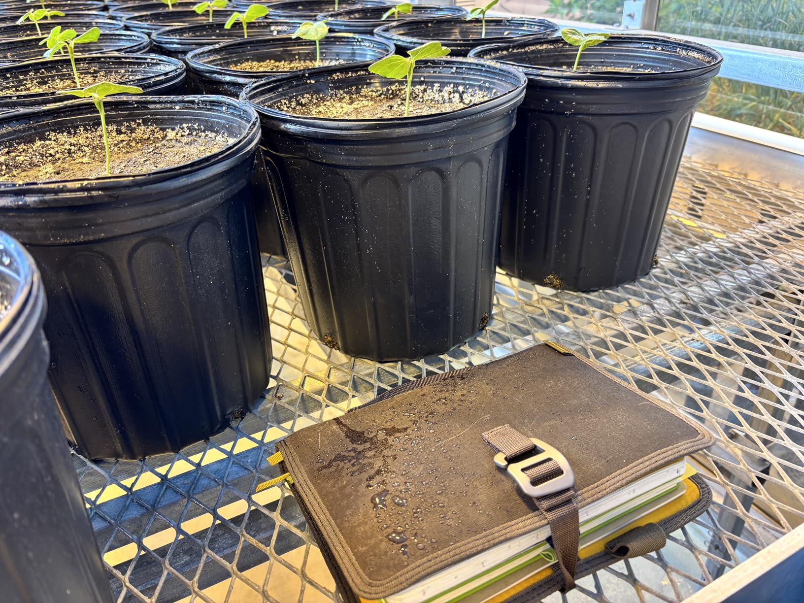 LOCHBY Field Journal | Water Resistant Waxed Canvas | Pen Loop | Included Tomoe River Notebook | Perfect for Travel, Art, Bullet Journal customer photo 1