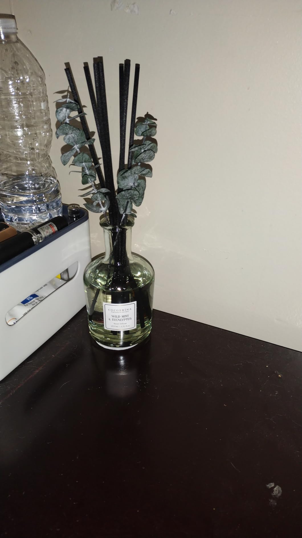 Wild Mint & Eucalyptus Reed Diffuser, 6.76 oz | Real Dried Eucalyptus Leaves, 8 Reeds, Long-Lasting Essential Oil, Home Fragrance, Bedroom or Bathroom Décor customer photo 1