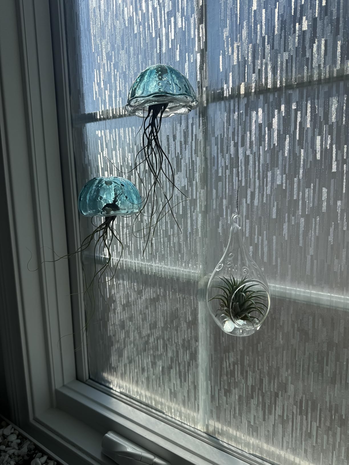 Glasseam Hanging Air Plant Holder: 3Pcs Glass Jellyfish Air Plant Hanger with Jute Ropes for Tillandsia Succulent Houseplants - Cute Airplant Display Container for Indoor Home Decor customer photo 1
