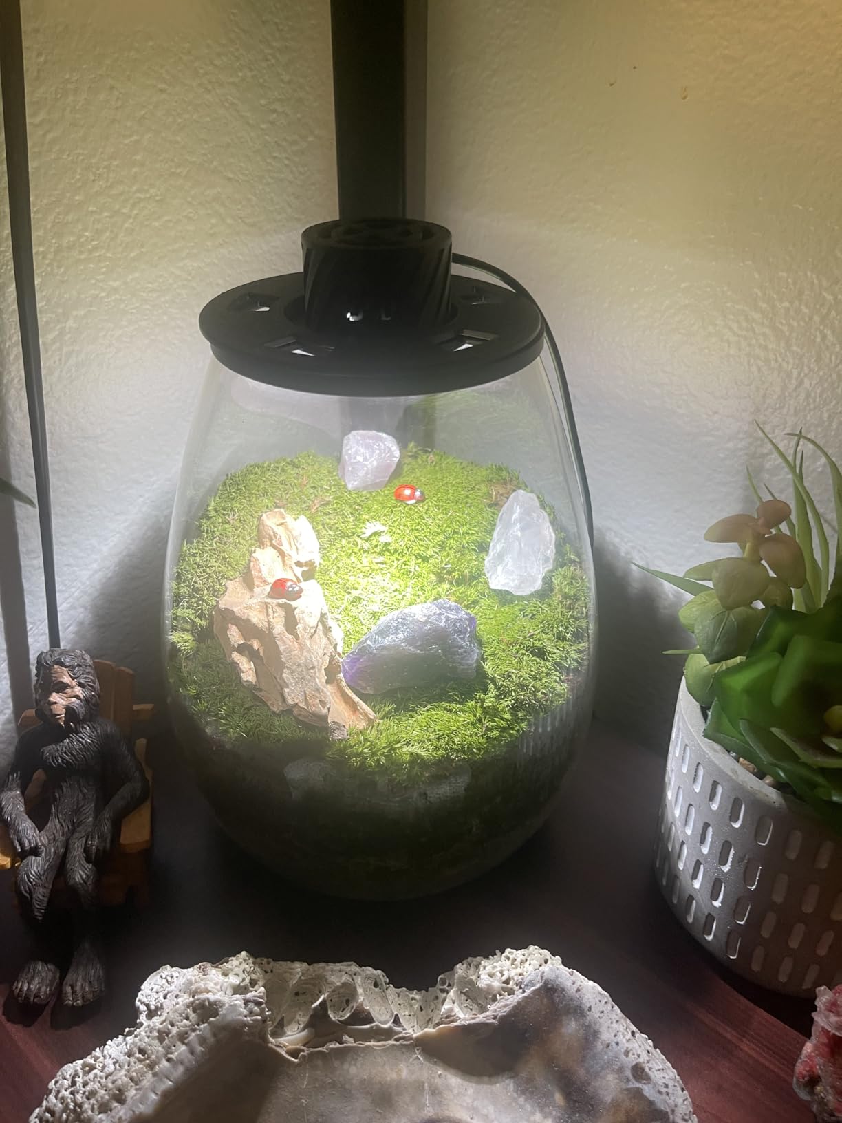 DIY Crystal Terrarium Kit - 21-Pieces All-In-One Starter Kit with Preserved Moss, Pumice, Crystals, Coconut Coir, Tools & Decor | Healing Gift for relaxing | Plants Lovers | Home & Desk Decor customer photo 1