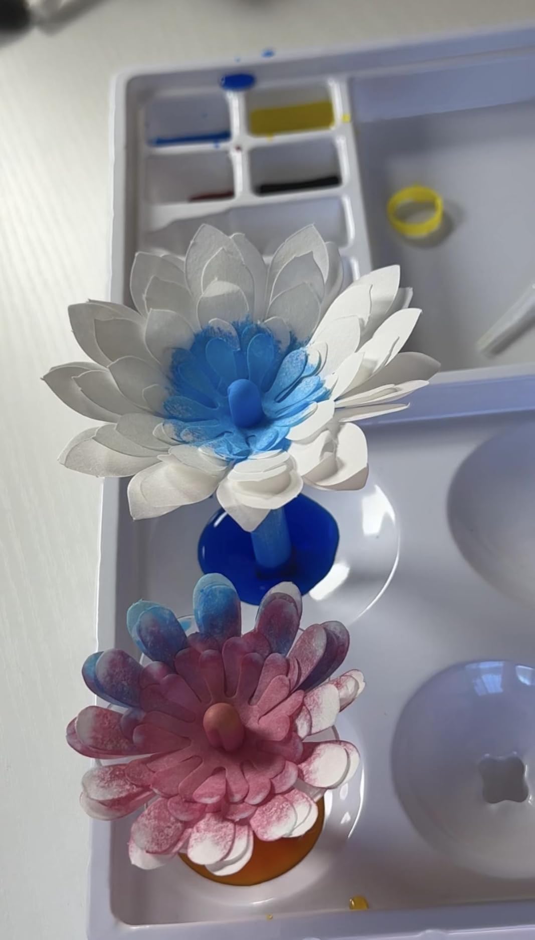Kiditos Paper Flower Kit, Magic Color Changing Flower Craft Kit for Kids | Arts and Crafts for Kids Ages 6-12, STEM Science Kit, Flower Making Activities with Paper Flowers and Flower Crafts customer photo 2