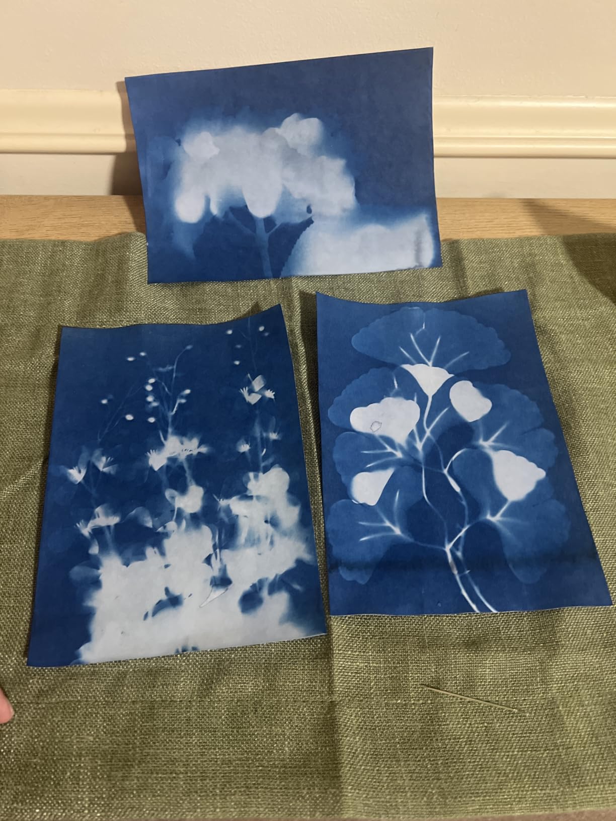 Sun Print Paper Kit Cyanotype Paper, 60 Sheets Cyanotype Papers with 1 Sheet Acrylic Panel, High Sensitive Nature Solar Activated Printing Art Supplies for Arts Crafts DIY Project customer photo 1