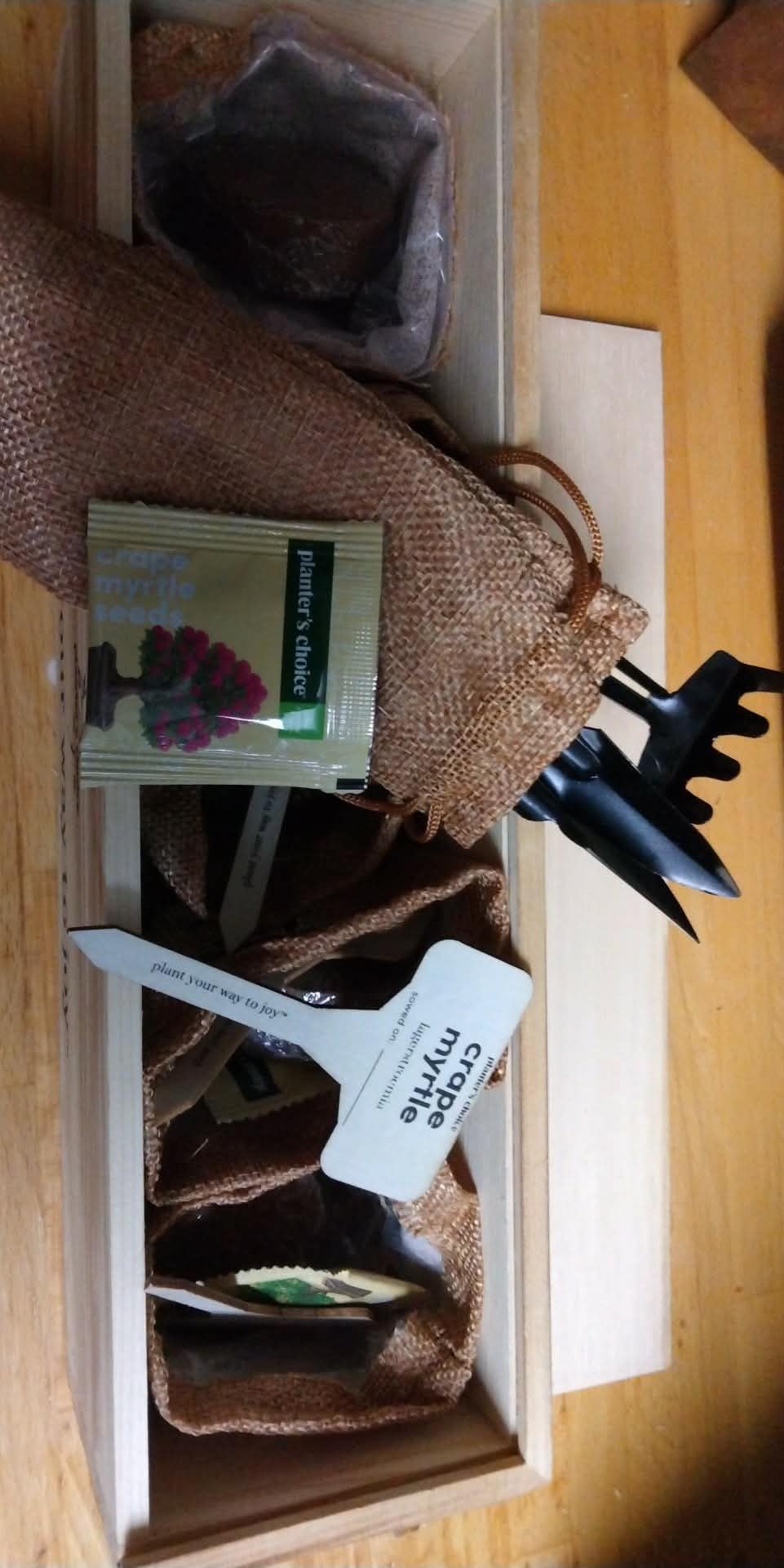 Planter's Choice Bonsai Tree Starter Kit - Birthday Gifts for Women, Men, Adults - Indoor Live House Plants - DIY Adults Craft Kits - Unique Hobby Gift Gardening Lovers - Gift Ideas Mom, Her, Friend customer photo 2