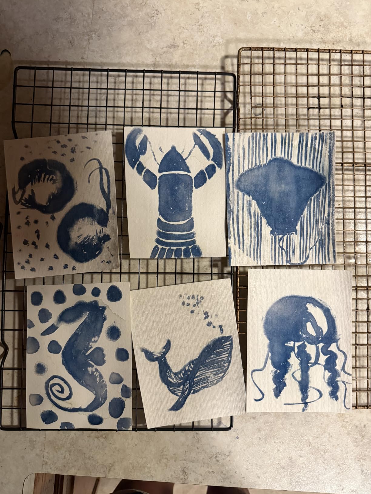 Cyanotype Kit with 7 Tools, Pre-Mixed Cyanotype Solution for Fabric & Paper | Nature & Sun Printing Kit, Easy Steps, All-in-One Set, Fade-Resistant Prints, for Beginners, Artists, Classrooms & Workshops customer photo 2