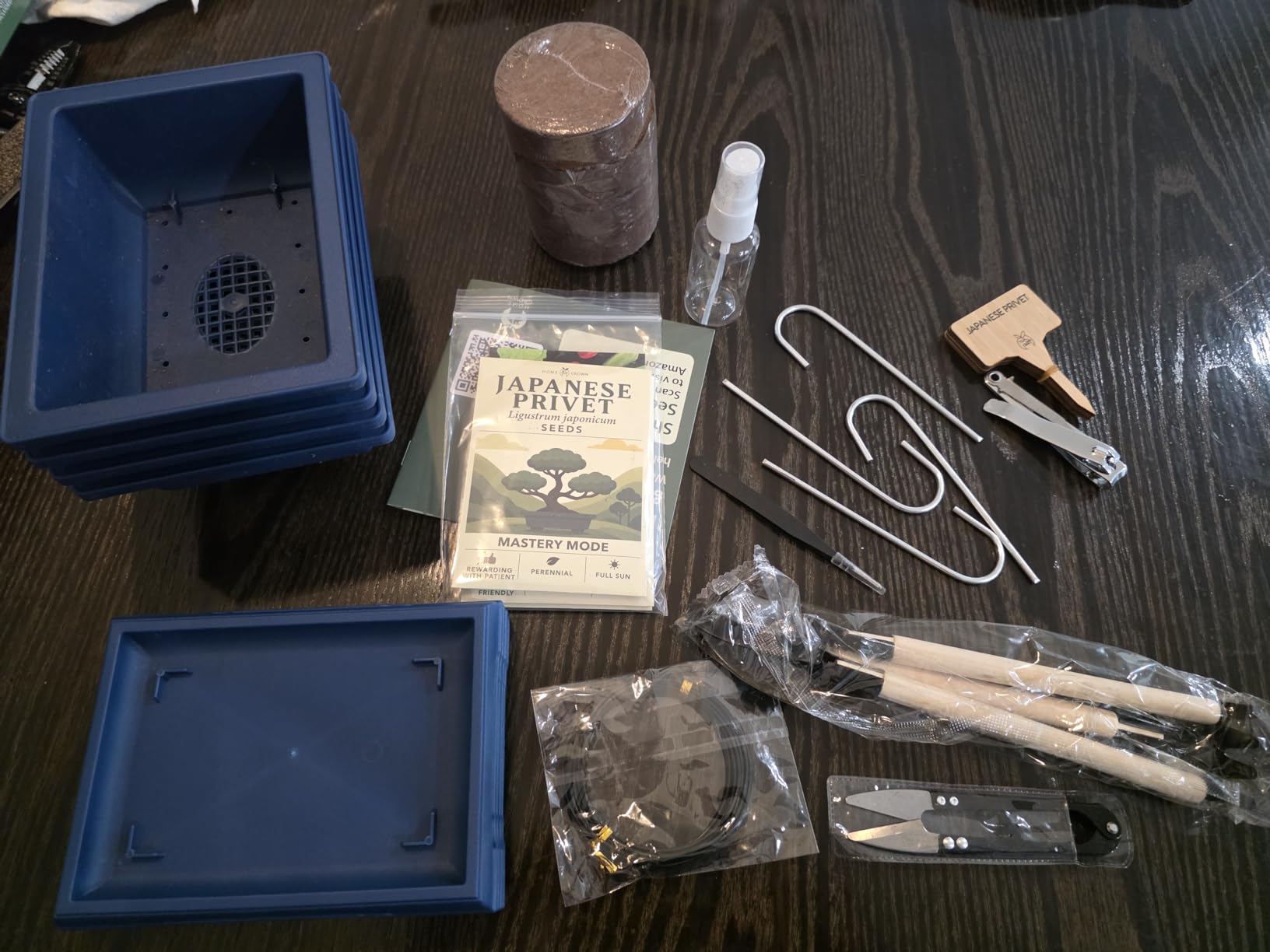 HOME GROWN Bonsai Tree Starter Kit - Unique Christmas Gift for Adults, Men, Women - Grow 4 Bonsais - DIY Crafts Hobby Gardening Kit for Plant Lovers, Mom, Dad - White Elephant Gifts for Adults customer photo 2