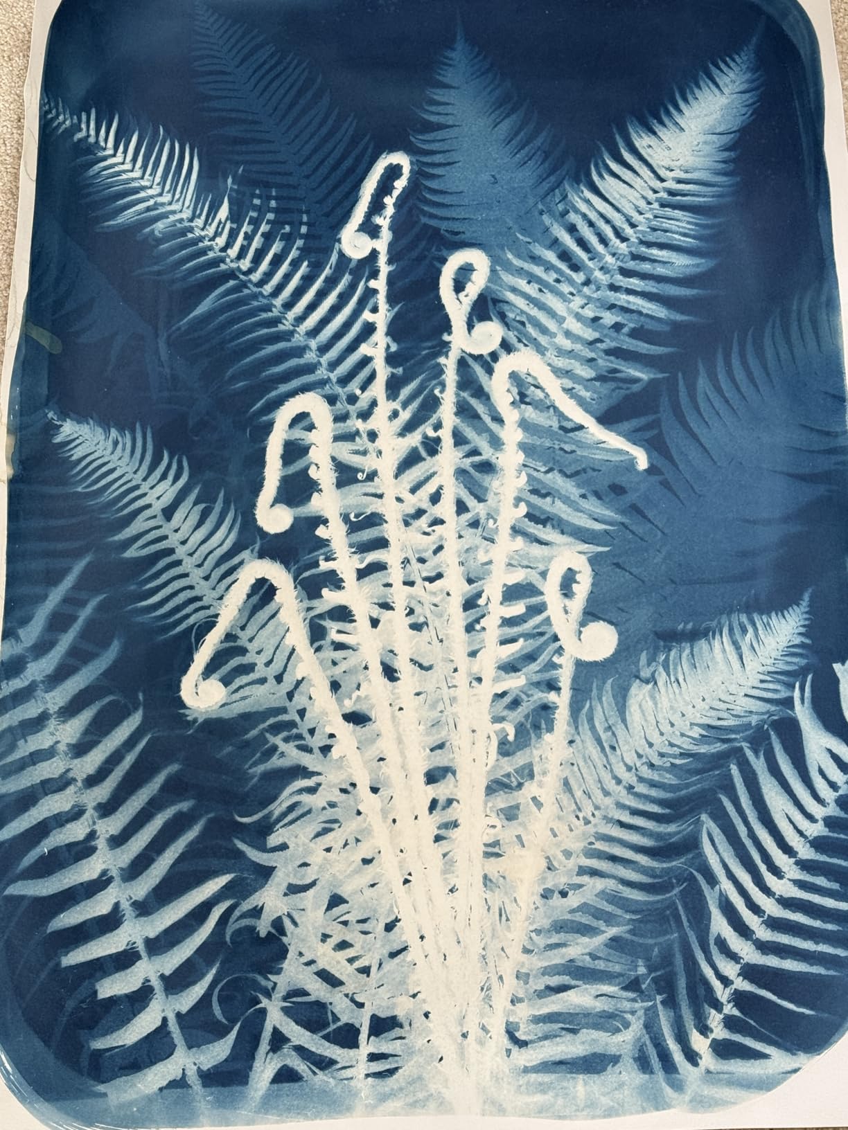 Rlcvecv Cyanotype Kit for with 8 Tools - Sunprint Kit with Chemicals & Sensitizer, Photo Printing Fabric Art Set for Beginners, Paper & Creative DIY Projects customer photo 2