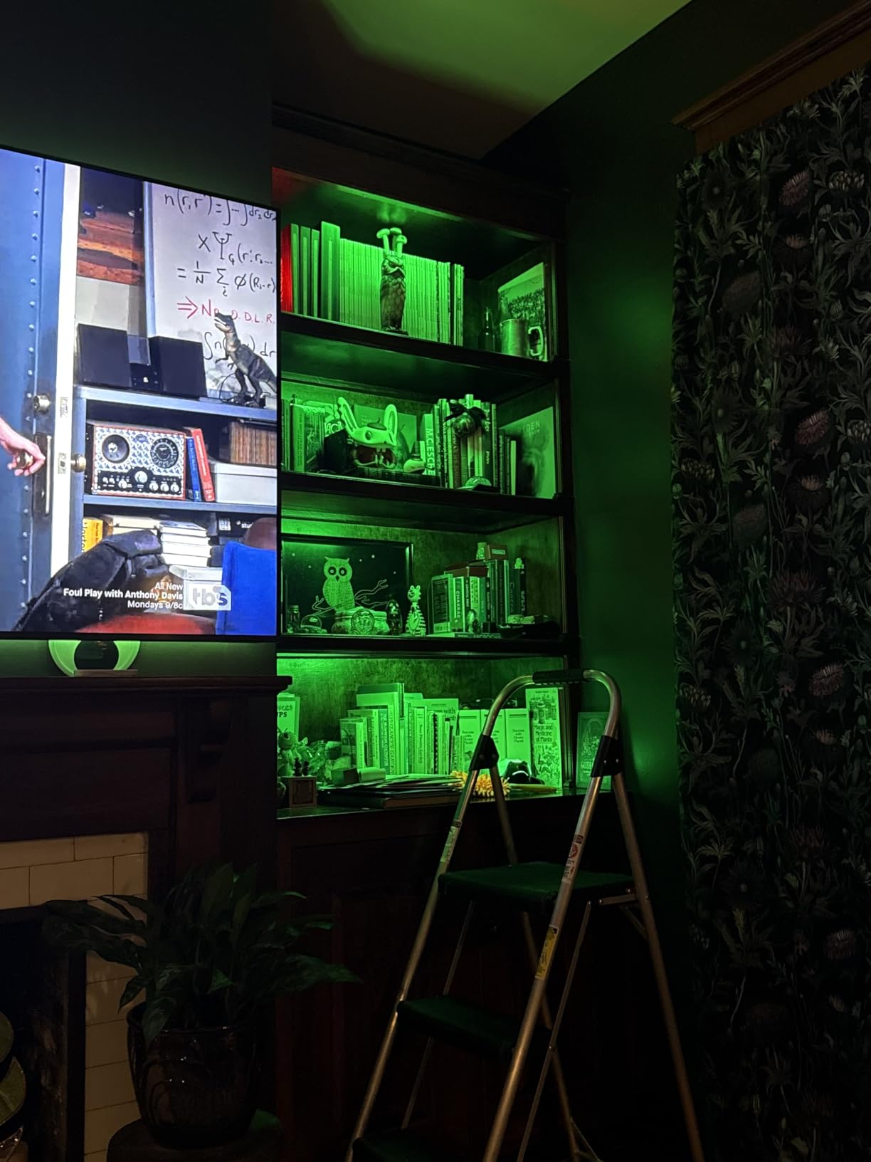 Black RGB LED Shelf Lights, Smart Bookshelf Lights Compatible with Alexa WiFi Dimmable for Display Case, Bookcase, Bar, Cabinet and Under Shelf with App, Remote, Memory Function (4Pcs 12.5In) customer photo 2