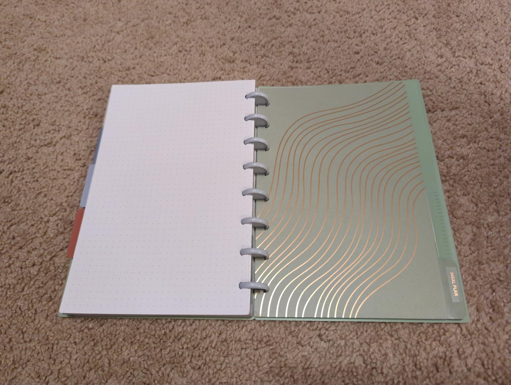 PAPERAGE Customizable Discbound Notebook, 114 Pages, All-in-One, 8-Disc Refillable Spiral Journal with Removable Pages, 12-Month Undated Calendar, Dividers & Stickers (Sage), 8.7 in x 6.6 in customer photo 1