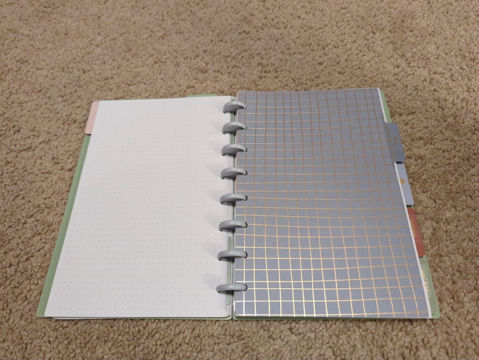 PAPERAGE Customizable Discbound Notebook, 114 Pages, All-in-One, 8-Disc Refillable Spiral Journal with Removable Pages, 12-Month Undated Calendar, Dividers & Stickers (Sage), 8.7 in x 6.6 in customer photo 2