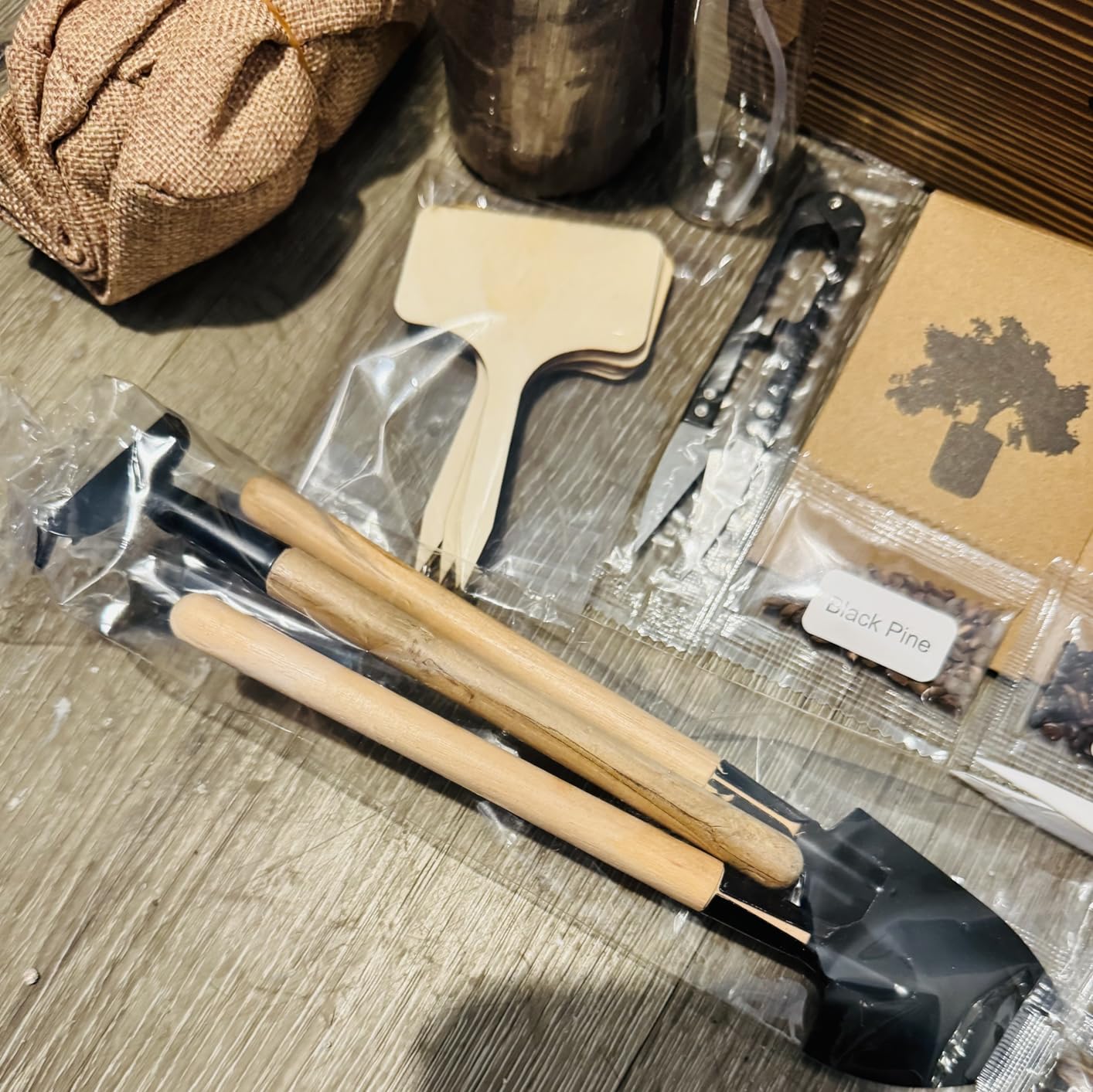 Bonsai Tree Kit - Complete Indoor Bonsai Starter Kit with 5 Unique Tree Seeds, Bonsai Tools - DIY Gardening Gift for Adults Women Men, Mom, Her, Friend (5 Bonsai Trees) customer photo 1
