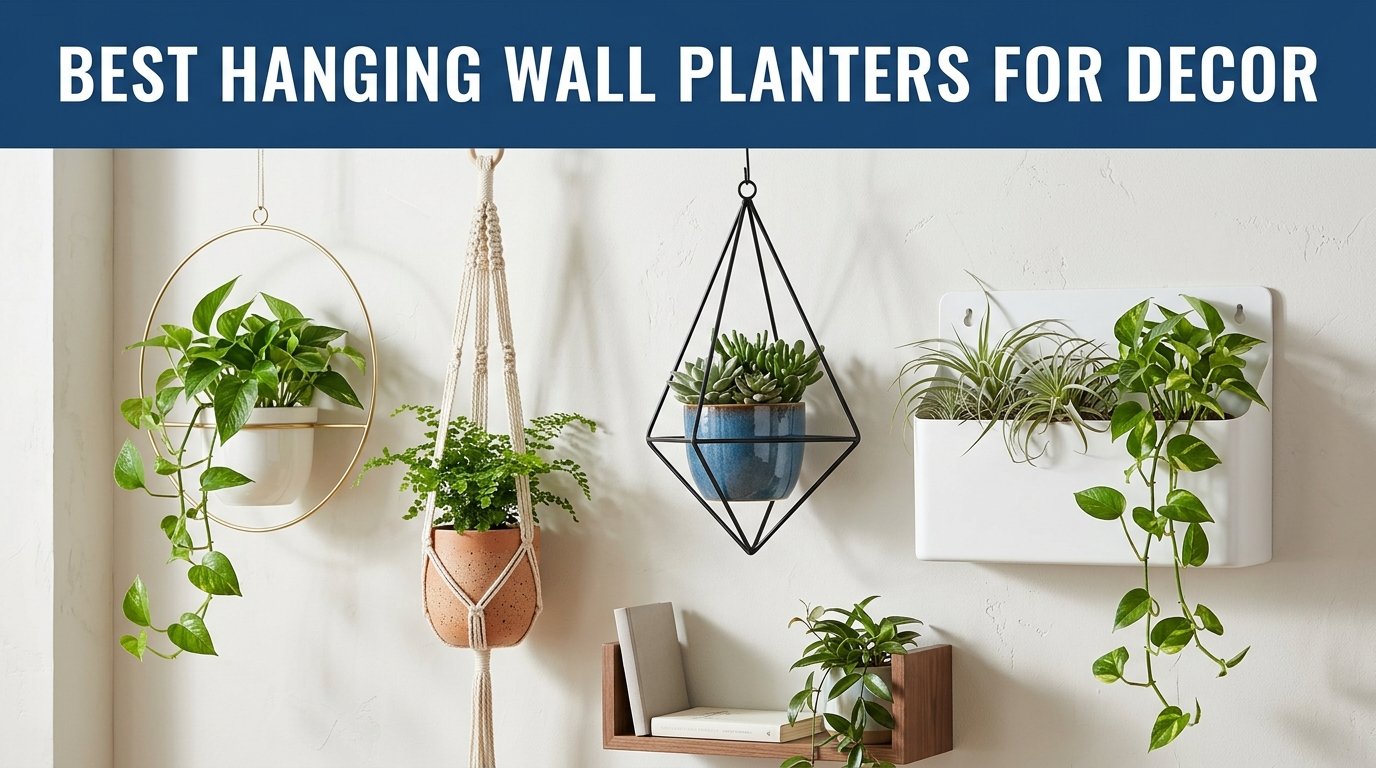 best hanging wall planters for decor