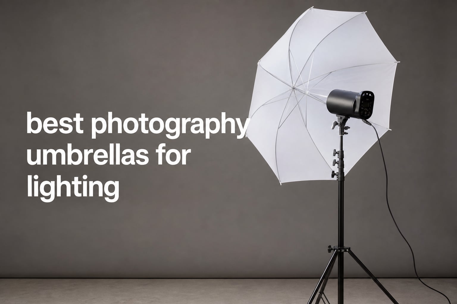 best photography umbrellas for lighting